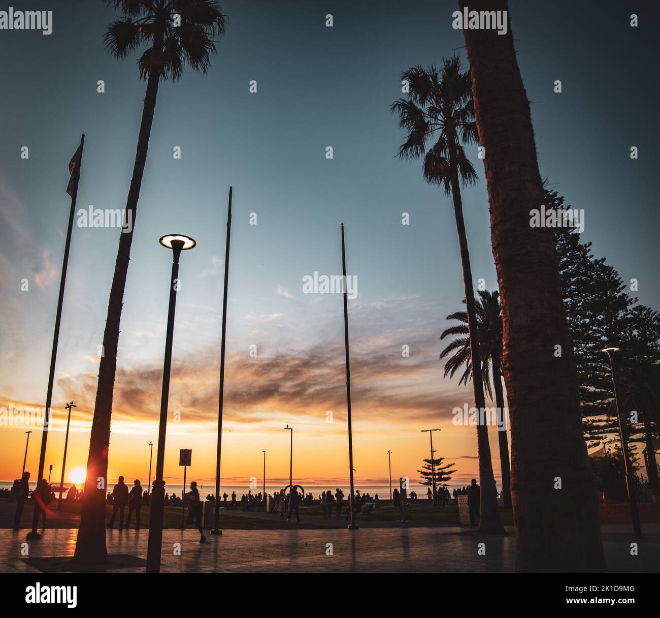 La place Moseley avec silhouettes de palmiers longs au coucher du soleil, Glenelg, Australie Banque D'Images