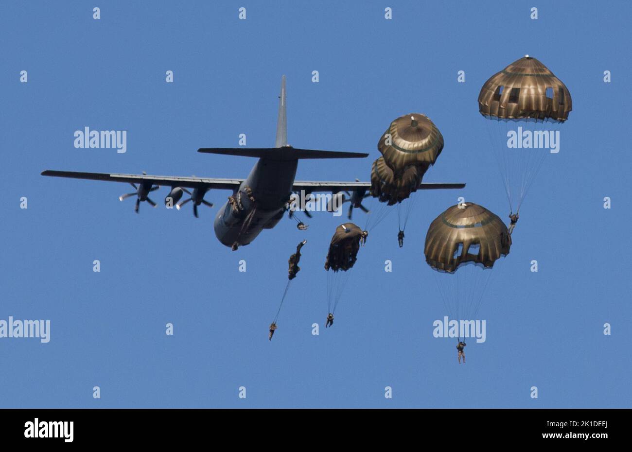 Un groupe de parachutistes américains et européens descend dans la zone de chute à partir d'un avion C-130 utilisant des parachutes européens et T-11 pendant l'exercice Falcon Leap à la zone de chute de Ginkelse Heide, Arnhem, pays-Bas., 17 septembre 2022. Plus de 1000 parachutistes du monde entier, 13 nationalités différentes, plusieurs aéroglisseurs par jour, et entraînement avec d'autres équipements pendant deux semaines. Il s'agit du plus grand exercice technique aéroporté de l'OTAN (États-Unis Photo de la réserve de l'armée par le Sgt. 1st classe Austin Berner) Banque D'Images