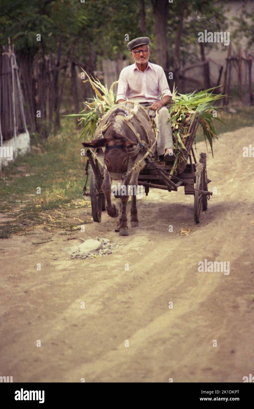 Greci, Comté de Tulcea, Roumanie, 2000. Un homme âgé qui roule sur la voie de la campagne en chariot tiré par un âne. Banque D'Images