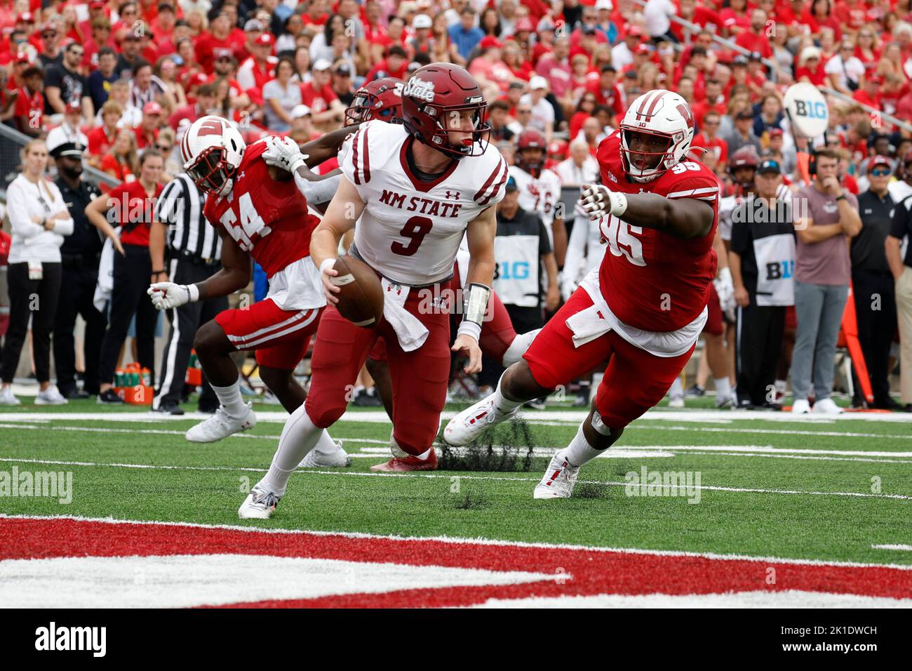 Madison, WI, États-Unis. 17th septembre 2022. Le quarterback de l'Aggies de l'État du Nouveau-Mexique Gavin Frakes (9) se démène dans la zone d'extrémité alors que le nez des Badgers du Wisconsin Keeanu Benton (95) donne la chasse pendant le match de football de la NCAA entre les Aggies de l'État du Nouveau-Mexique et les Badgers du Wisconsin au stade Camp Randall de Madison, WISCONSIN. Darren Lee/CSM/Alamy Live News Banque D'Images