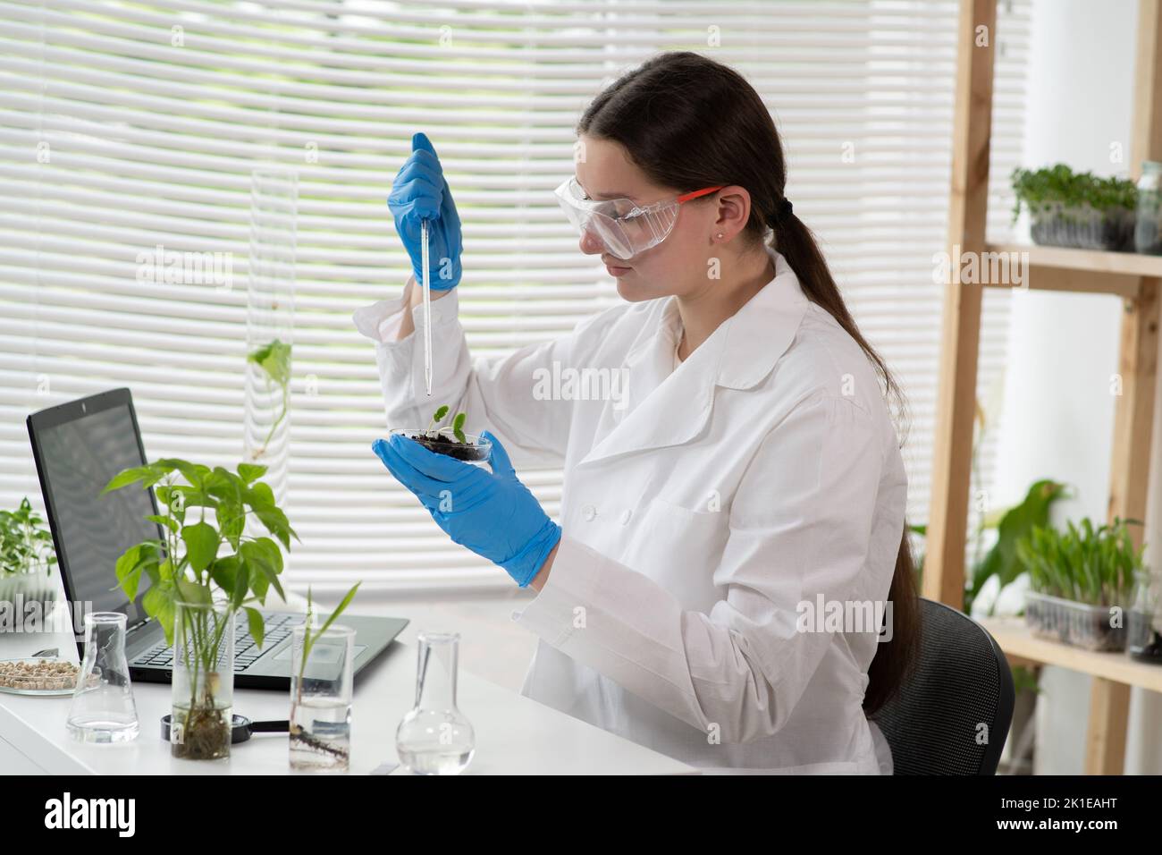 Microbiologiste féminine ajoutant des vitamines et des minéraux d'une pipette aux plantes vertes en croissance. Scientifique médical travaillant dans un laboratoire scientifique. Banque D'Images