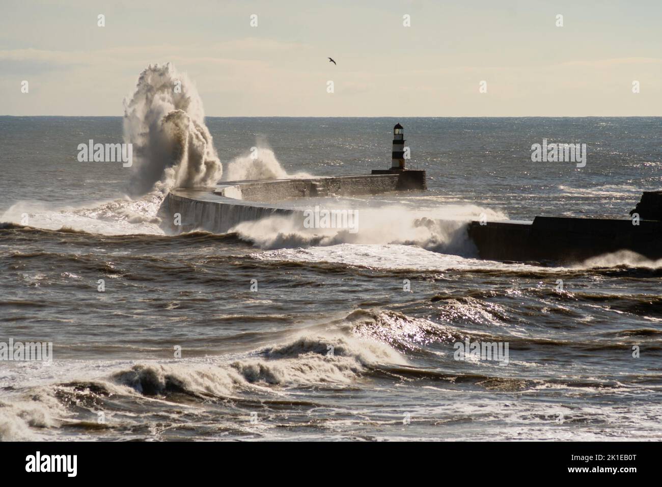 Météo au Royaume-Uni Seaham 17-9-2022 de grandes vagues se brisent au-dessus de la jetée à Seaham, Co. Durham, Angleterre, Royaume-Uni Banque D'Images