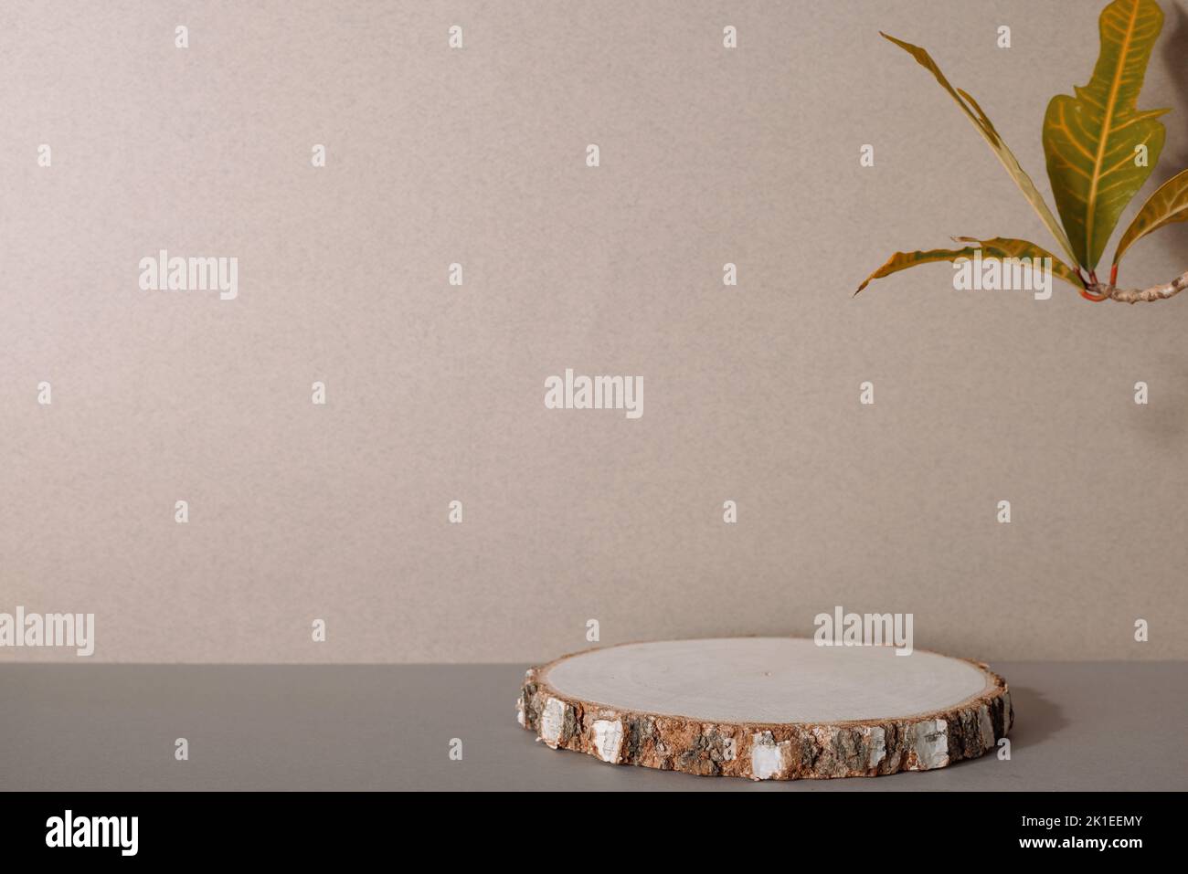 Scène minimale abstraite avec formes géométriques. Podium cylindrique en bois. Présentation du produit, maquette, présentation du produit cosmétique, podium, socle de scène o Banque D'Images