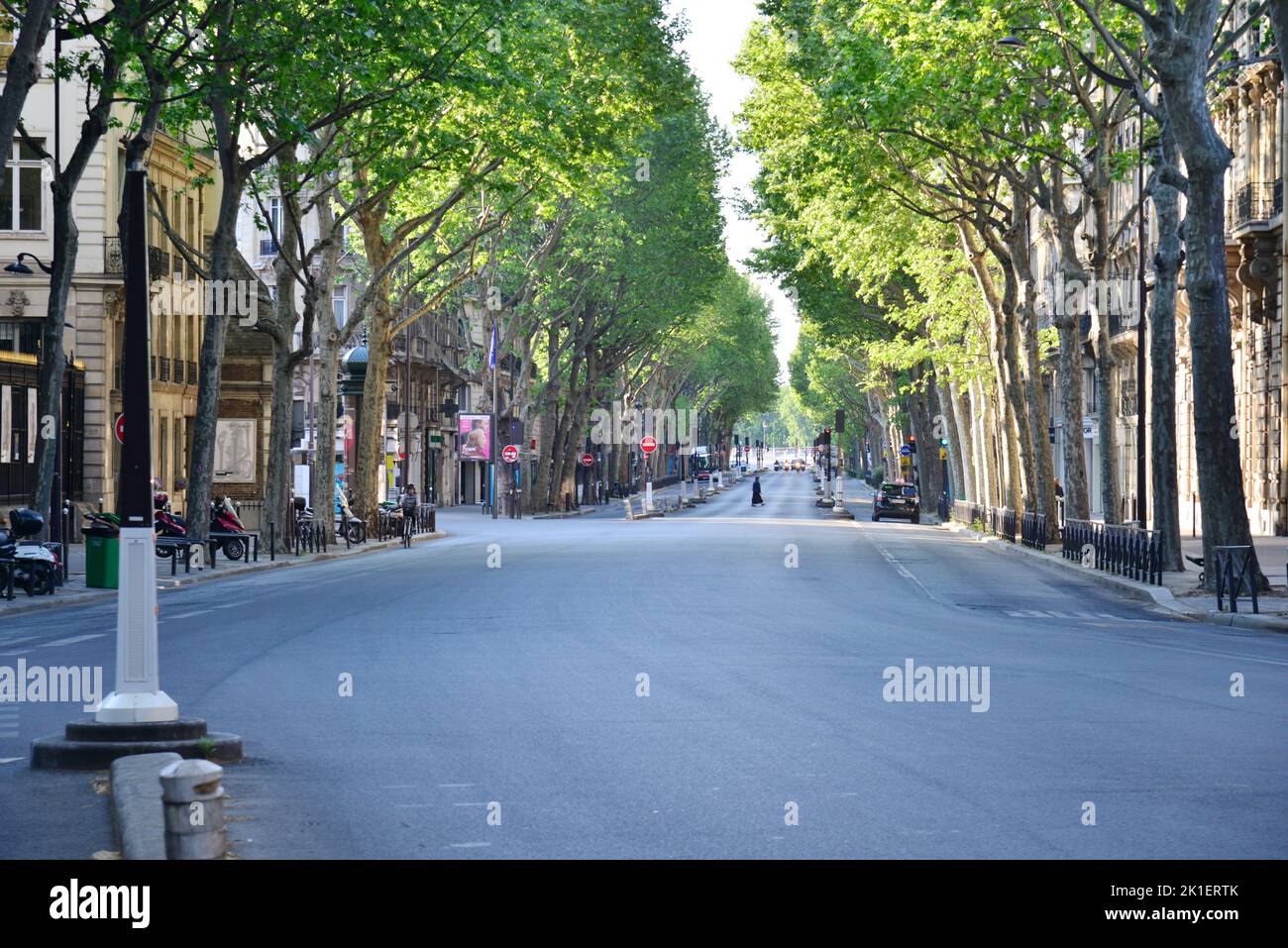 France. Paris (7th). Le boulevard Saint-Germain lors de la détention d'avril 2020. Banque D'Images
