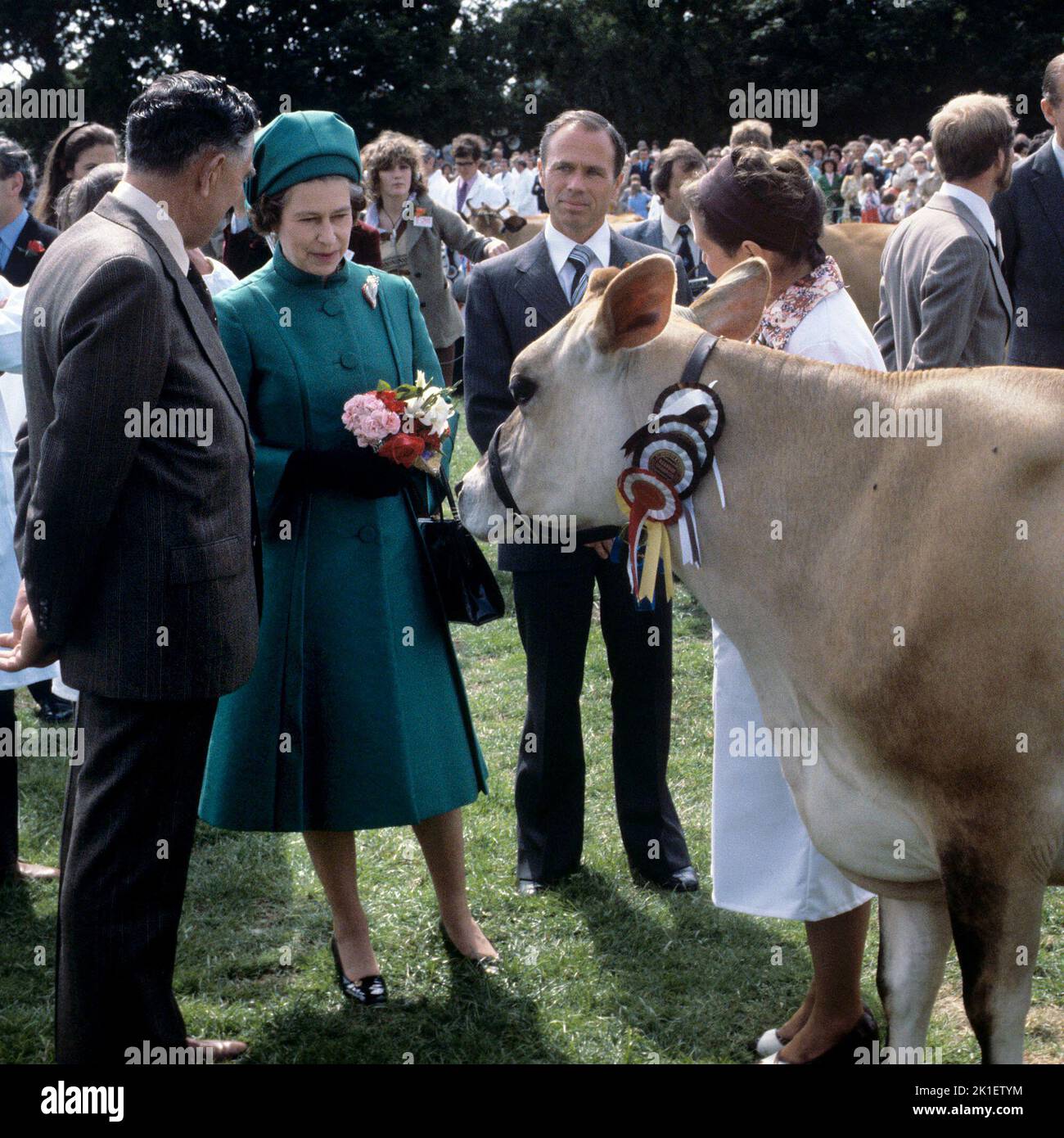 Photo du dossier datée du 27/06/1978 de la reine Elizabeth II avec une vache de Jersey avec laquelle elle a été présentée au Country Show au petit Catelet, Saint John, Jersey. Date de publication: Dimanche 18 septembre 2022.. Le crédit photo devrait indiquer : PA Wire Banque D'Images