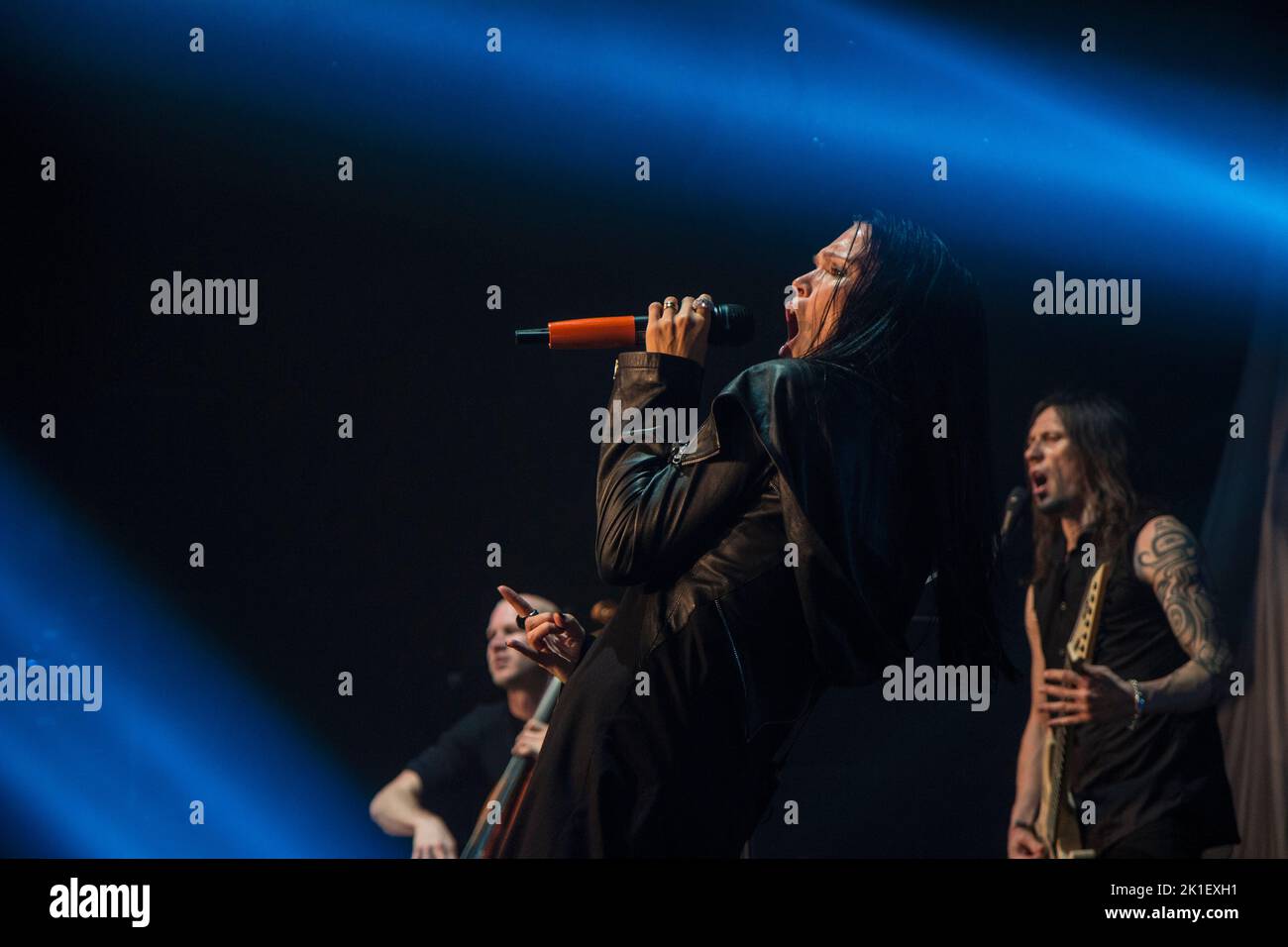 TARJA espace Julien, Marseille, FRANCE , 04/02/2014 Florent 'MrCrash' B. Banque D'Images