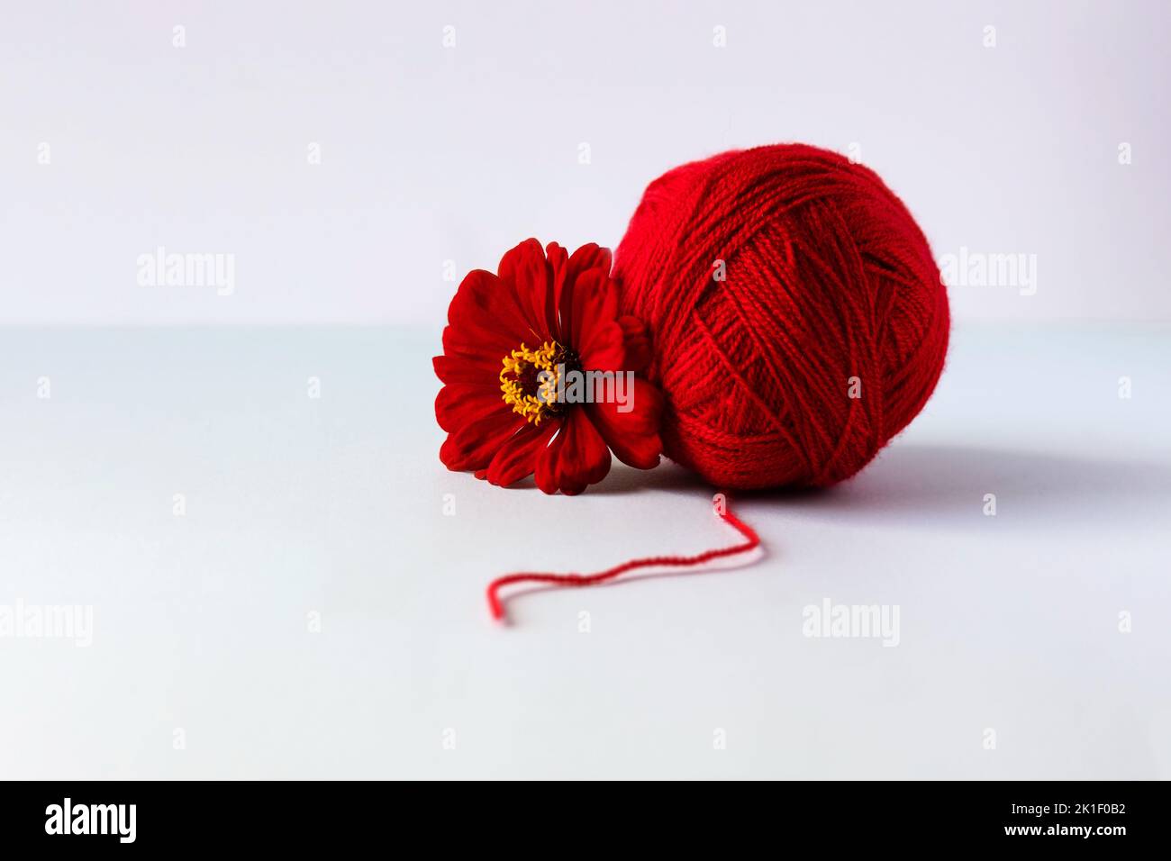 Une boule de fil rouge et une fleur de tsina sur un fond vert pour tricoter des choses chaudes douillettes rouges Banque D'Images