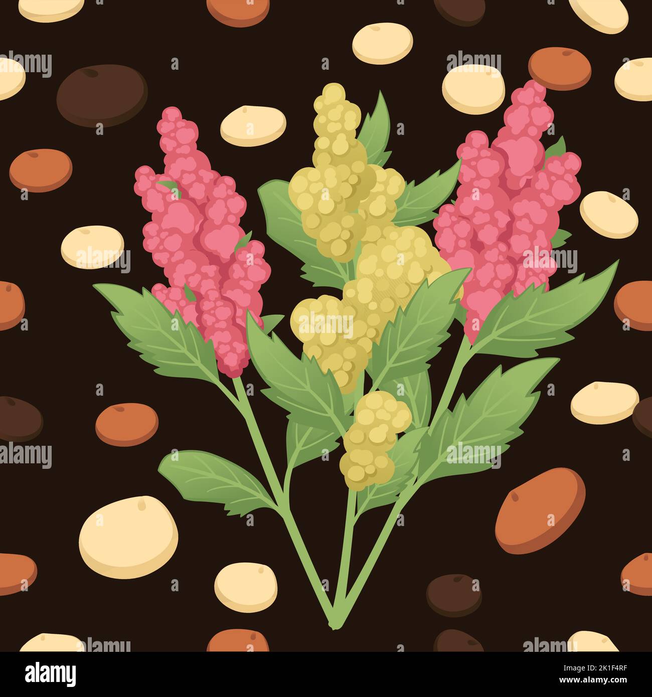 Modèle sans couture plante agricole de quinoa avec illustration de vecteur de grain de graines sur fond sombre Illustration de Vecteur