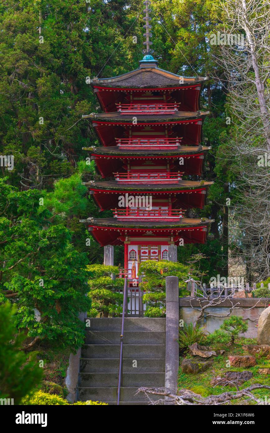 Jardin de thé japonais San Francisco, Californie, EUA Banque D'Images