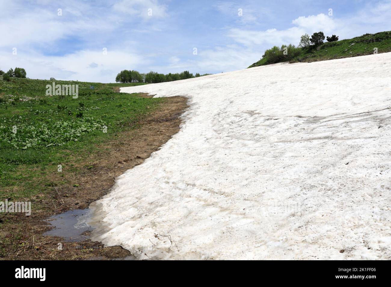 Neige sur les prairies alpines du plateau Lago-Naki, Adygea Banque D'Images
