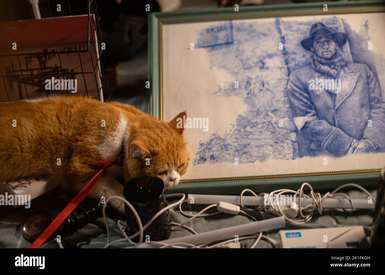 Un adorable chat orange qui se pose sur un marché avec des peintures Banque D'Images