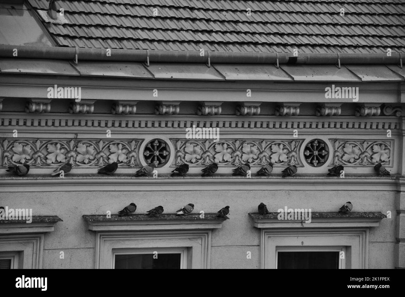Les pigeons en bordure d'une maison de ville viennoise classique à Vienne, en Autriche Banque D'Images