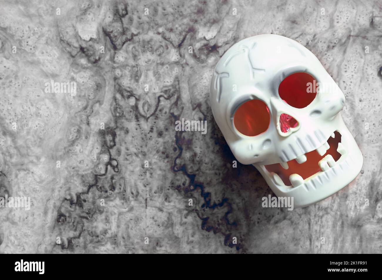 Crâne Halloween sur fond gris. Carte de voeux pour Halloween Banque D'Images