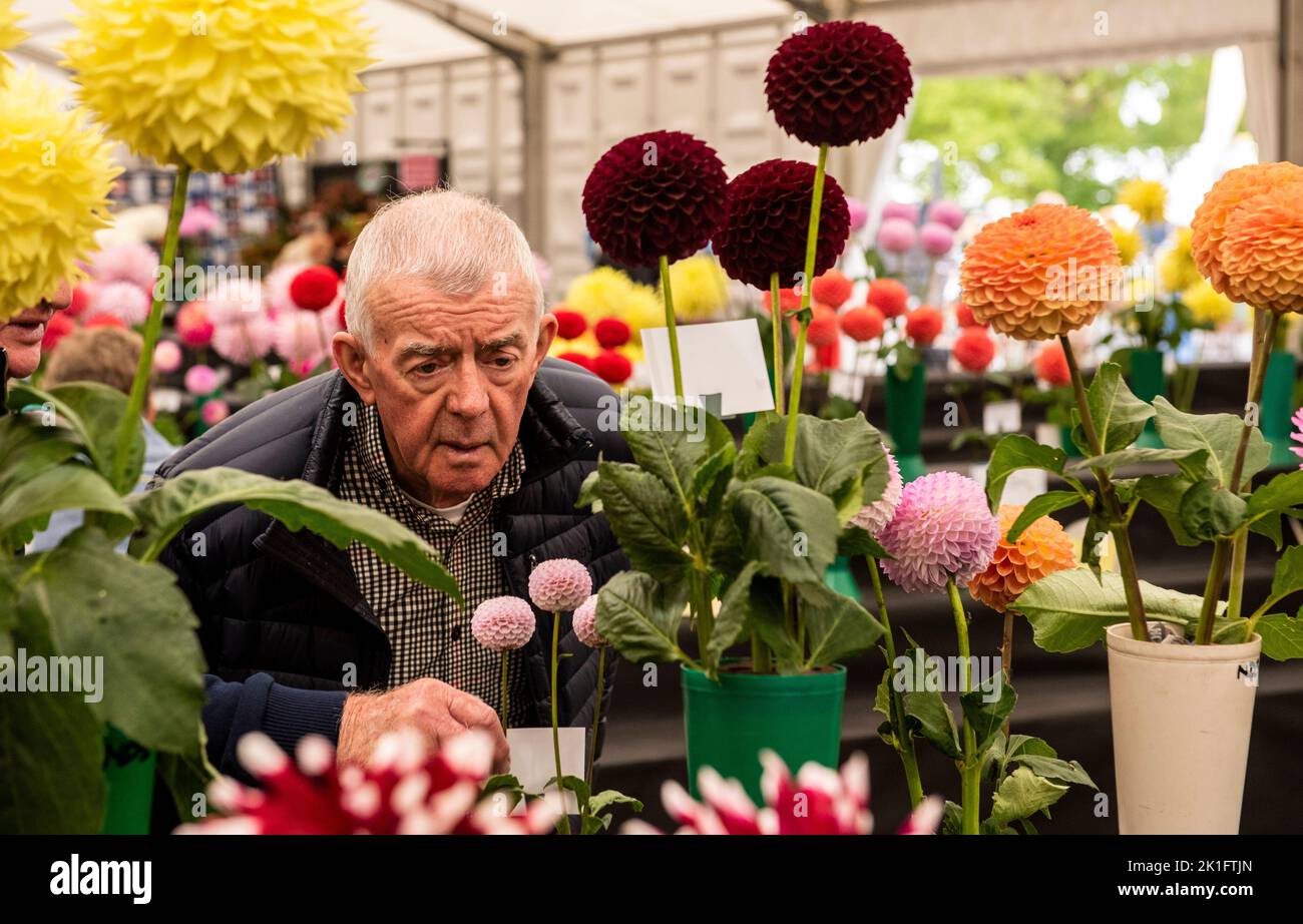 Ripon, North Yorkshire, 18th septembre 2022. Le dernier jour du spectacle de fleurs d'automne de Harrogate. Crédit photo: ernesto rogata/Alay Live News Banque D'Images