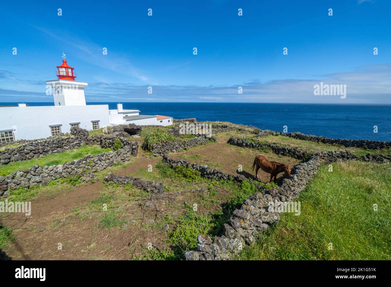 Le phare de Ponta das Contendas et un cheval sur l'île de Terceira, Açores, Portugal. Banque D'Images