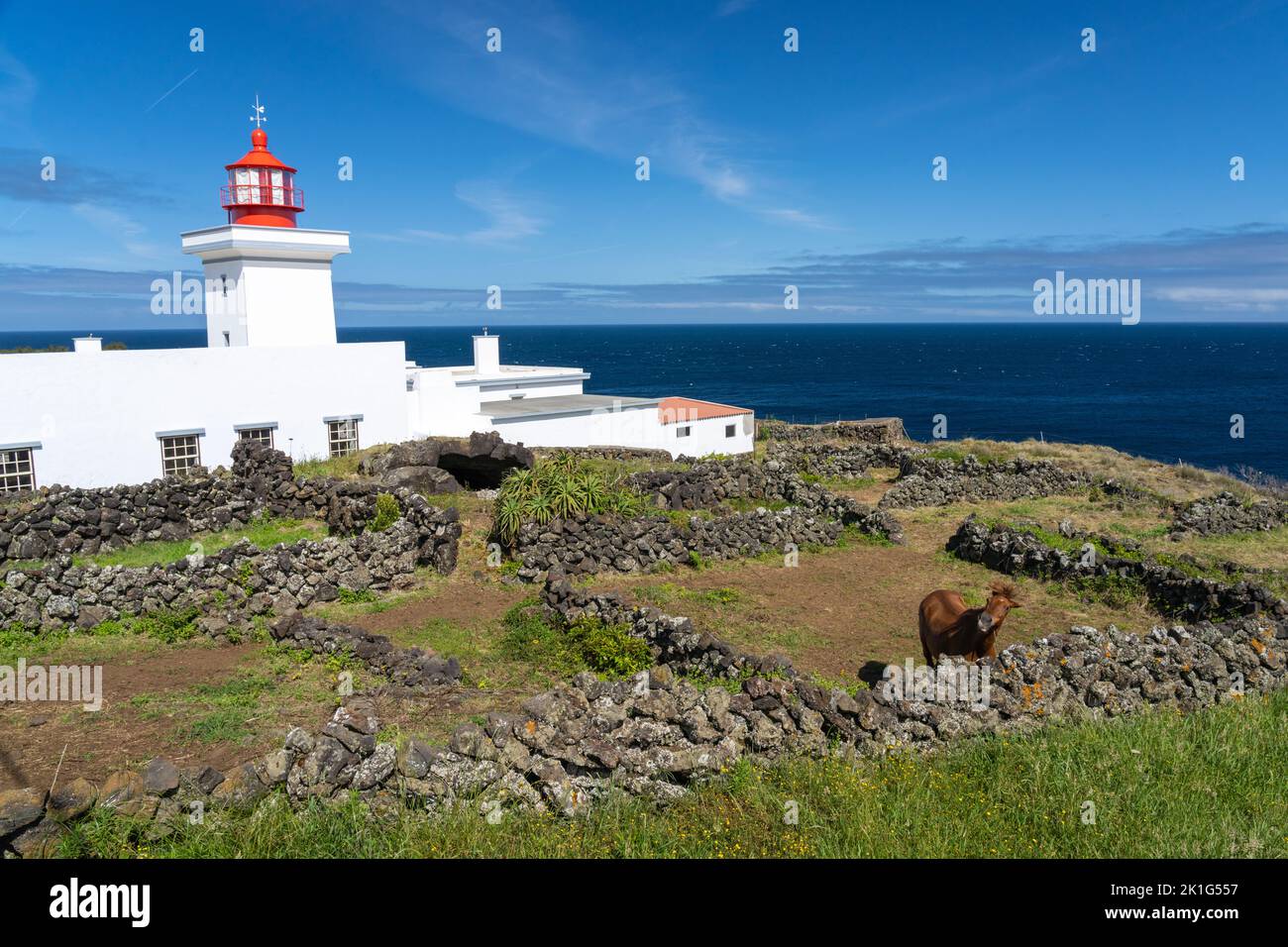 Le phare de Ponta das Contendas et un cheval sur l'île de Terceira, Açores, Portugal. Banque D'Images