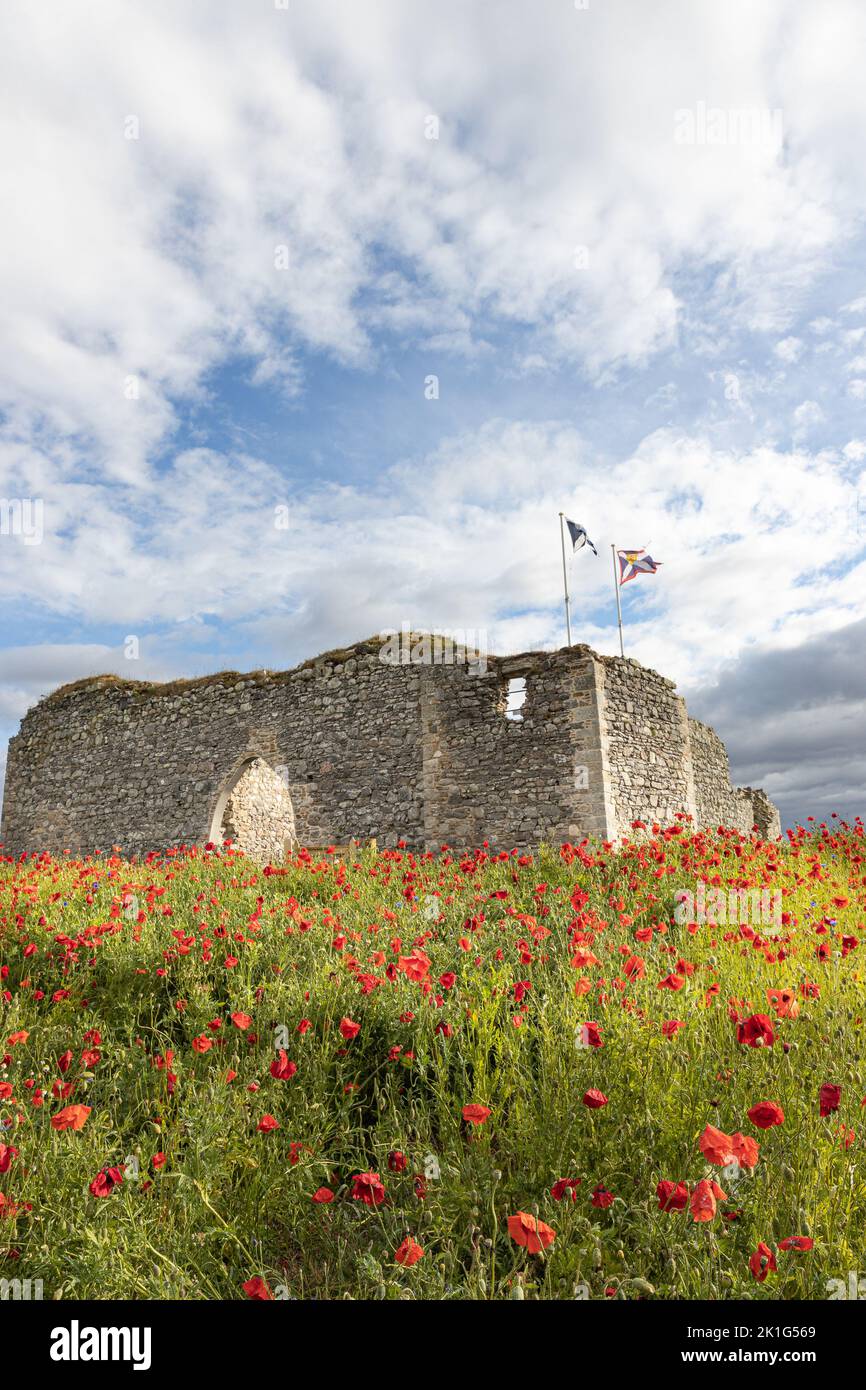 Château Roy au pont de Nethy, dans le parc national de Cairngorm, en Écosse Banque D'Images