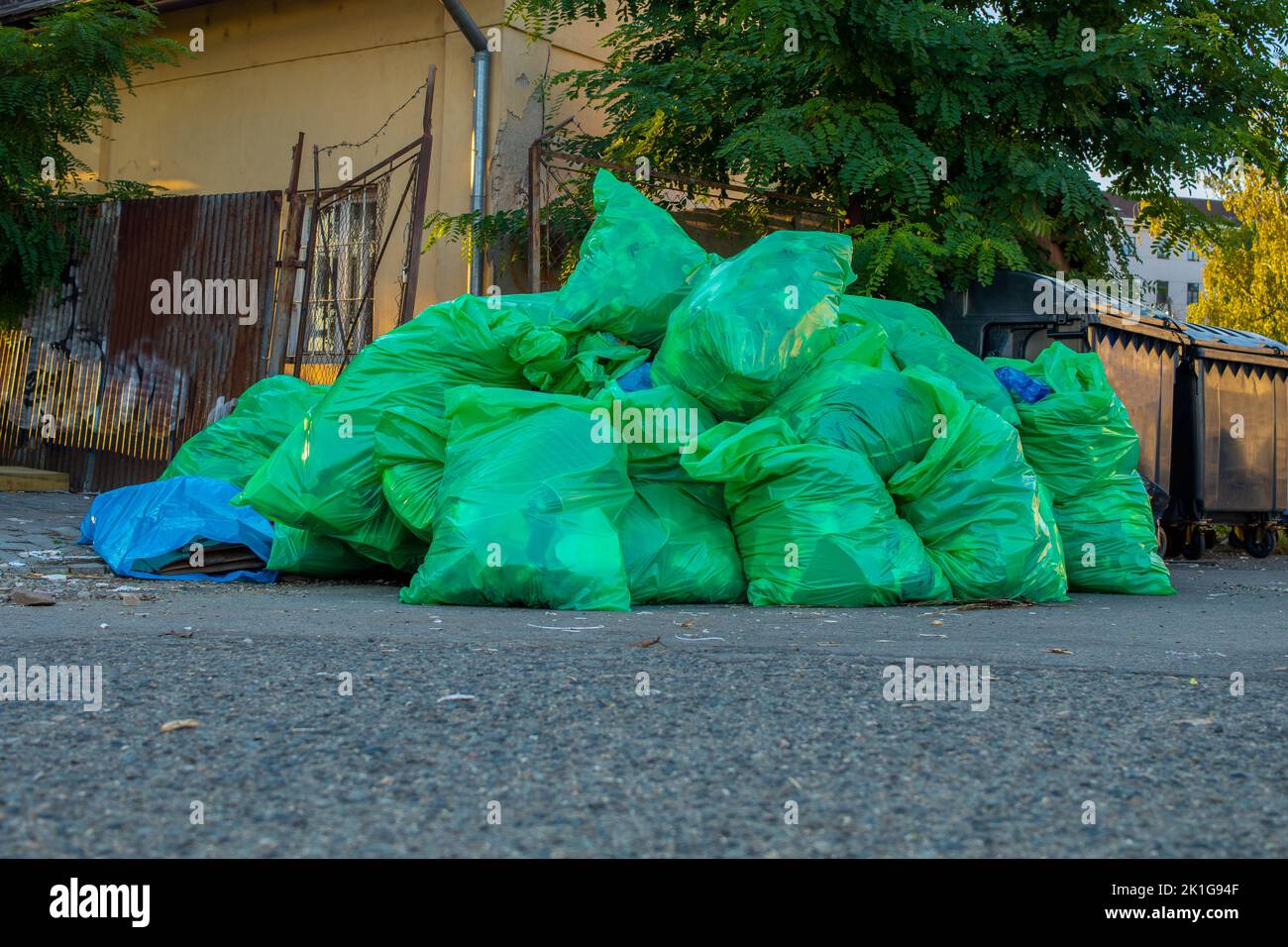 Vue des piles de déchets plastiques déversés sur le côté de la route, près des arbres et des bâtiments. Gros plan. Banque D'Images
