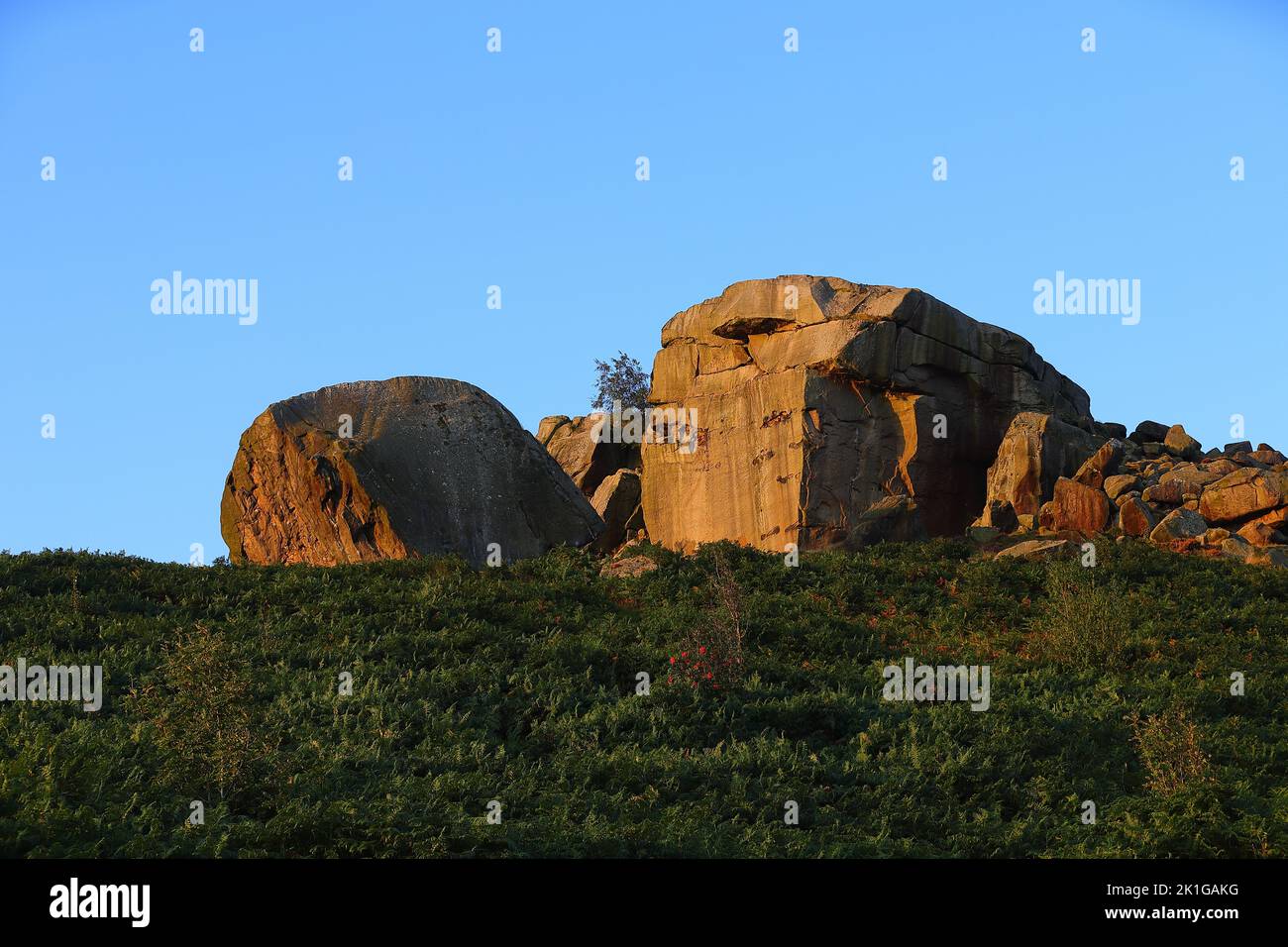 Cow & Calf Rocks sur Ilkley Moor dans le West Yorkshire Banque D'Images