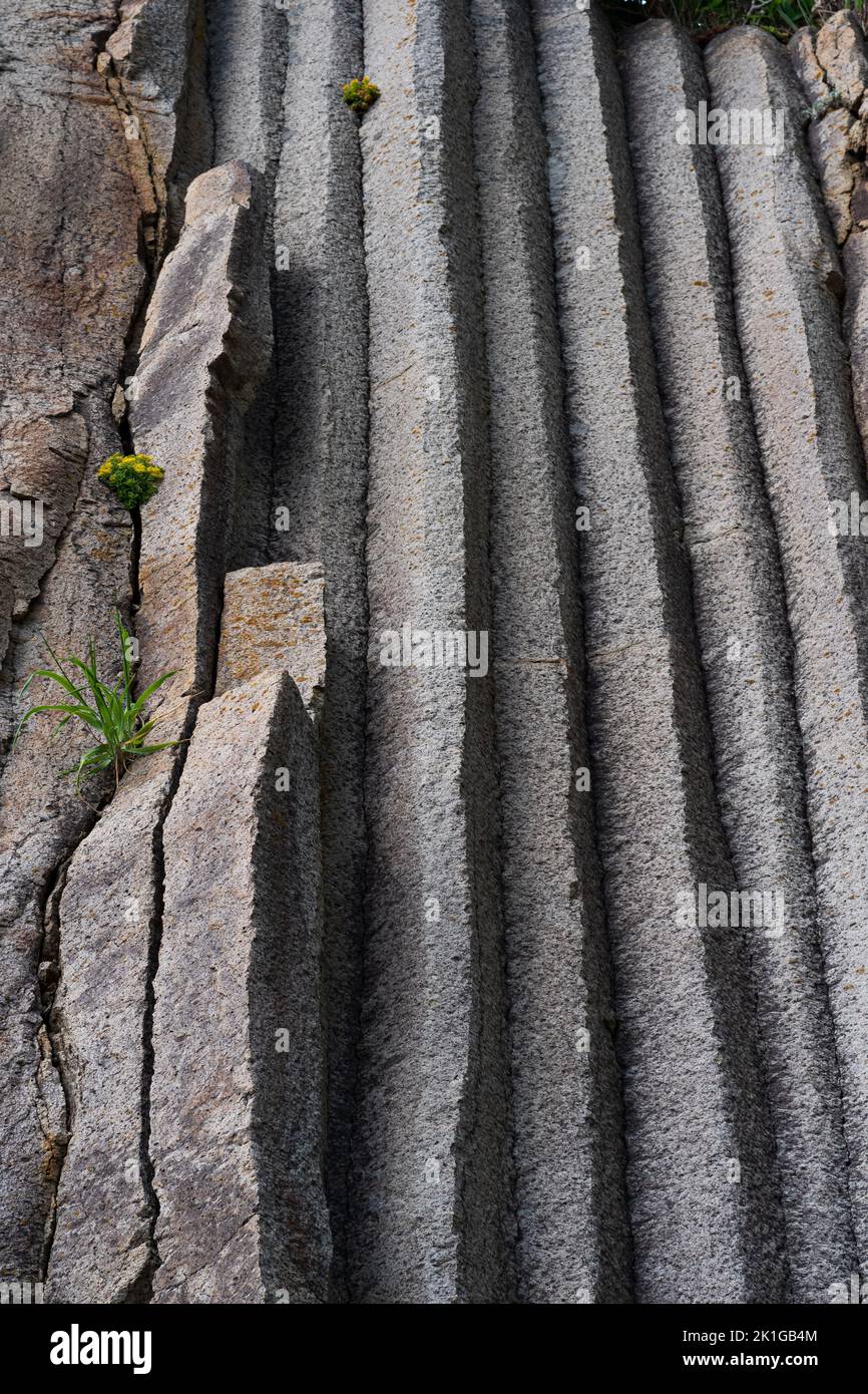 surface d'un mur de roche formé par basalte en colonnes Banque D'Images