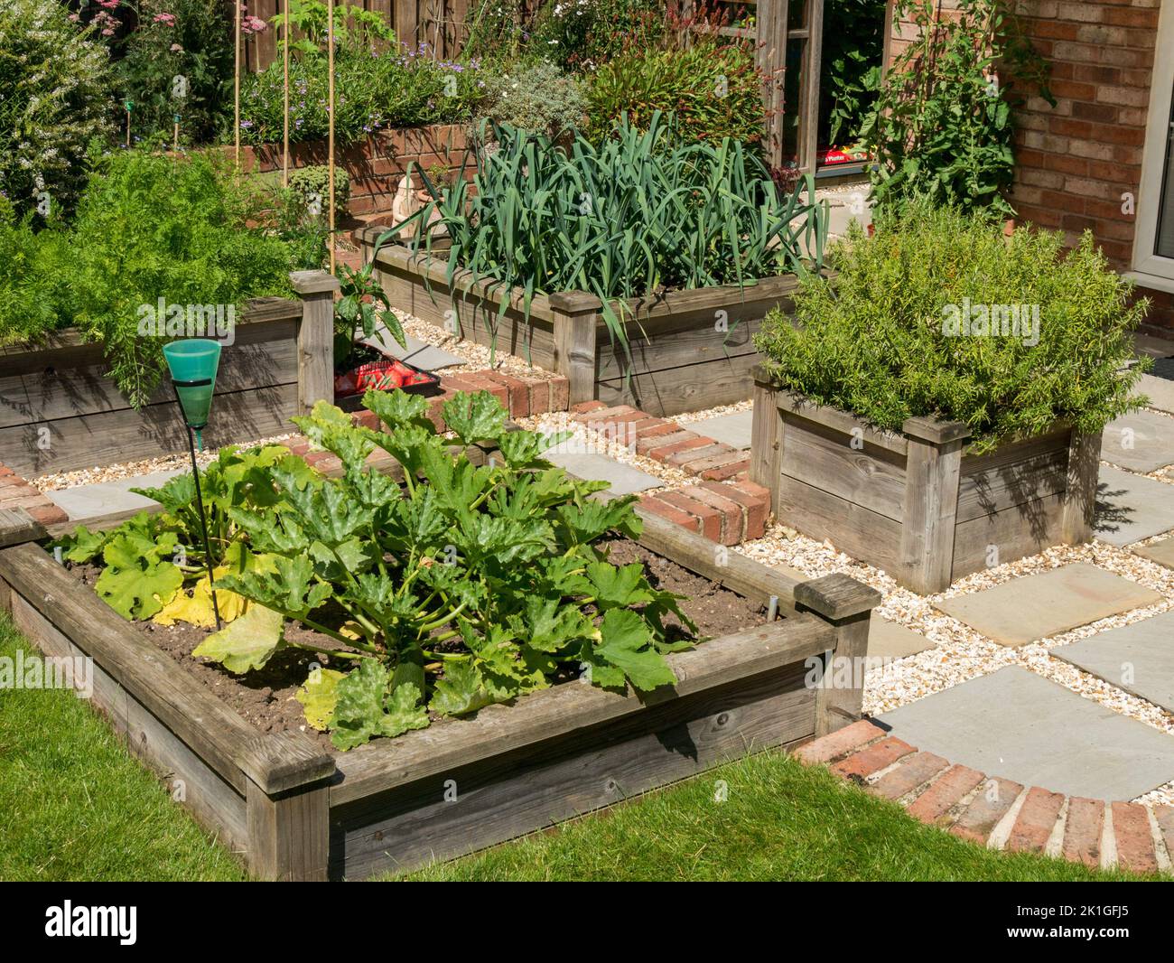 Parcelle de légumes dans des lits surélevés en bois dans le jardin de la ferme des poireaux, des courgettes, des carottes et des plantes de romarin, Leicestershire, Angleterre, Royaume-Uni Banque D'Images