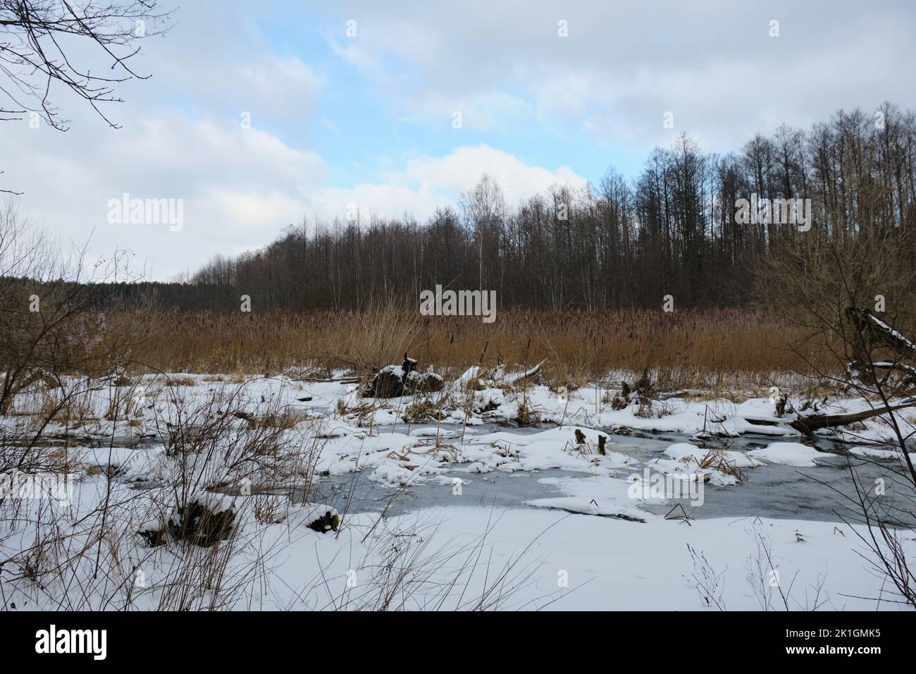 Paysage hivernal de la rivière Lesna gelée en journée nuageux avec roseau sèche en arrière-plan, Podlasie Voivodeship, Pologne, Europe Banque D'Images