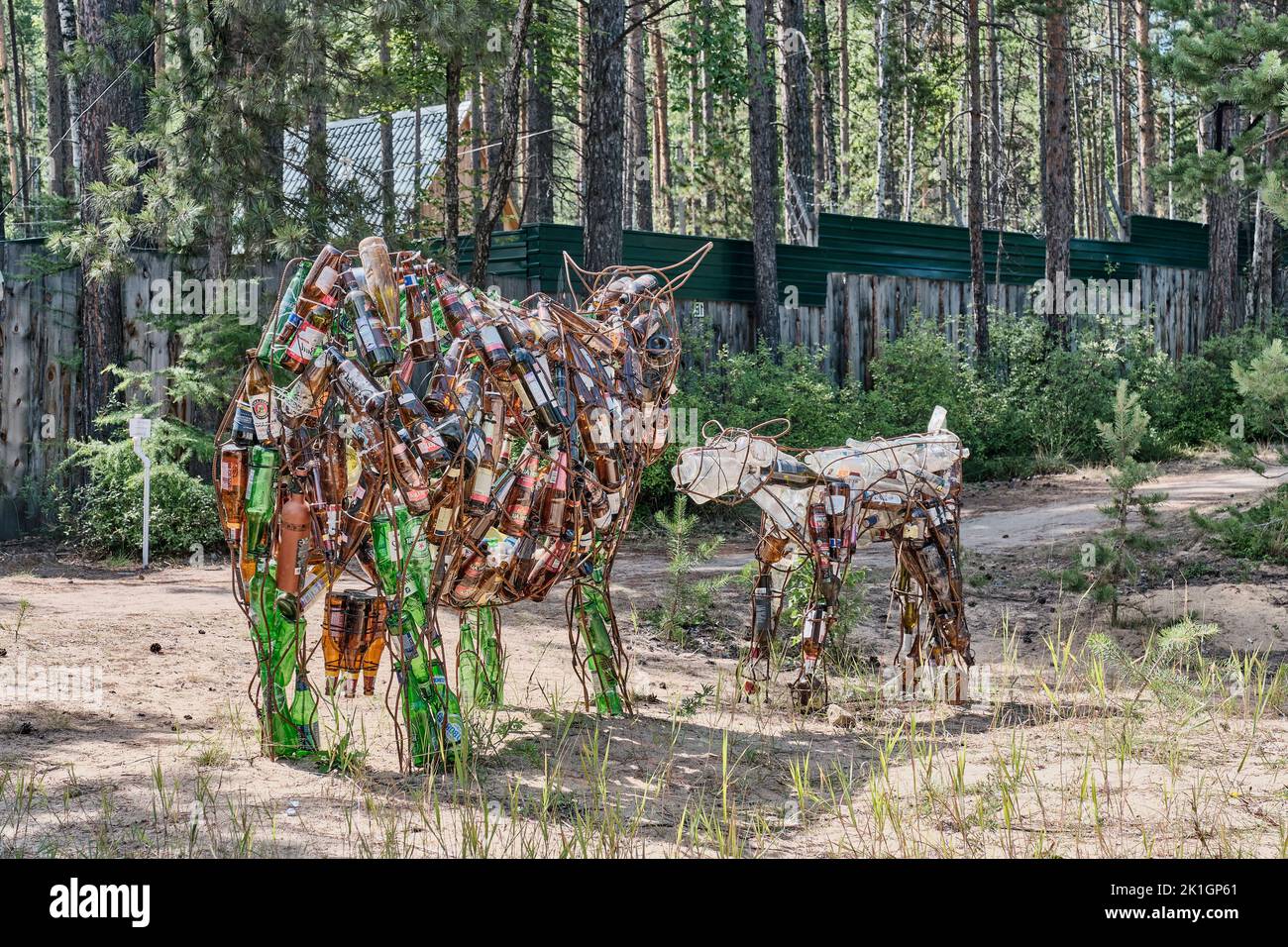 Sculptures de vache, veau fait de déchets. Bouteilles en verre utilisées dans le squelette en ferrures Banque D'Images