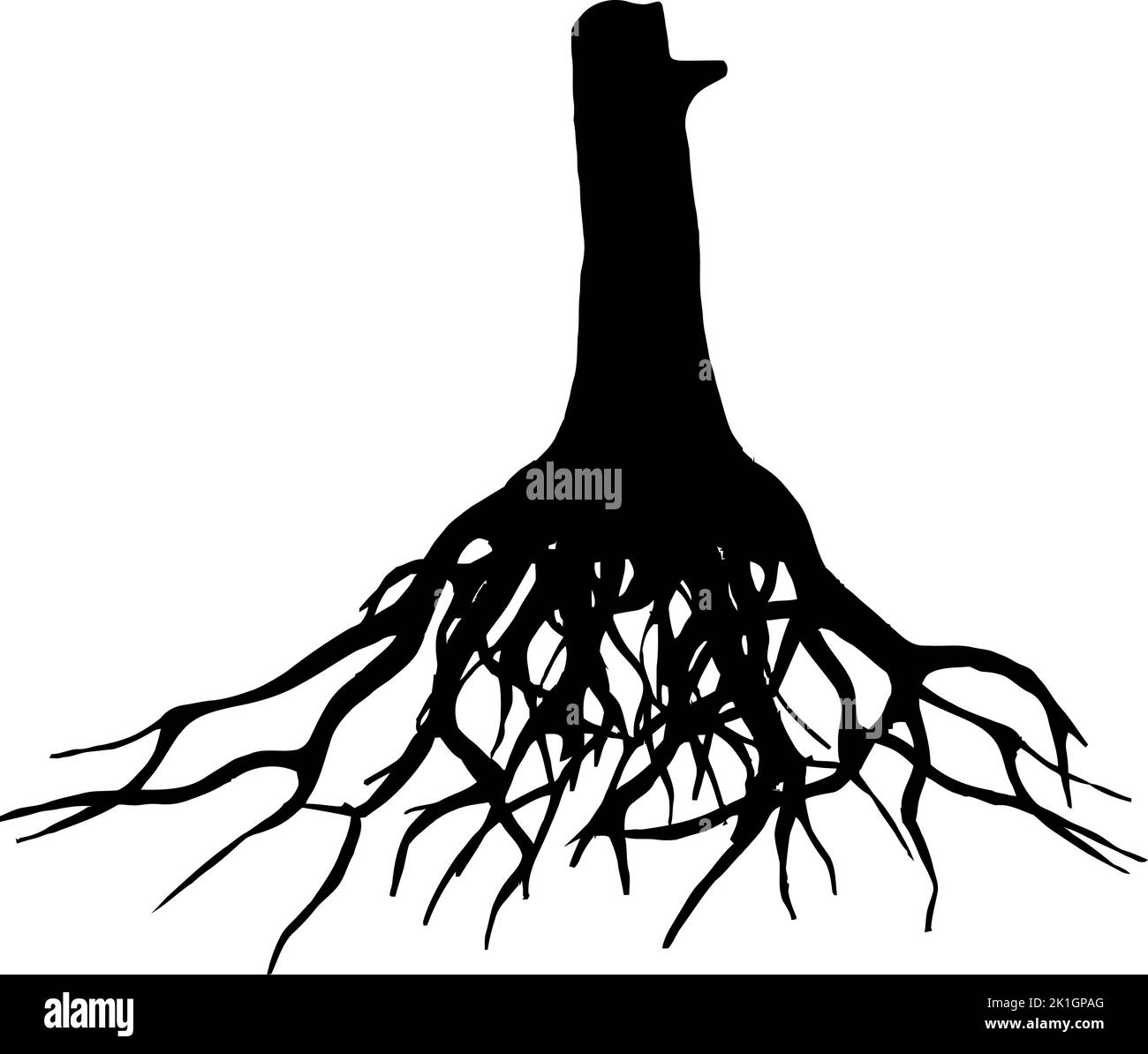 Les racines noires modifiables d'un arbre sur fond blanc Illustration de Vecteur