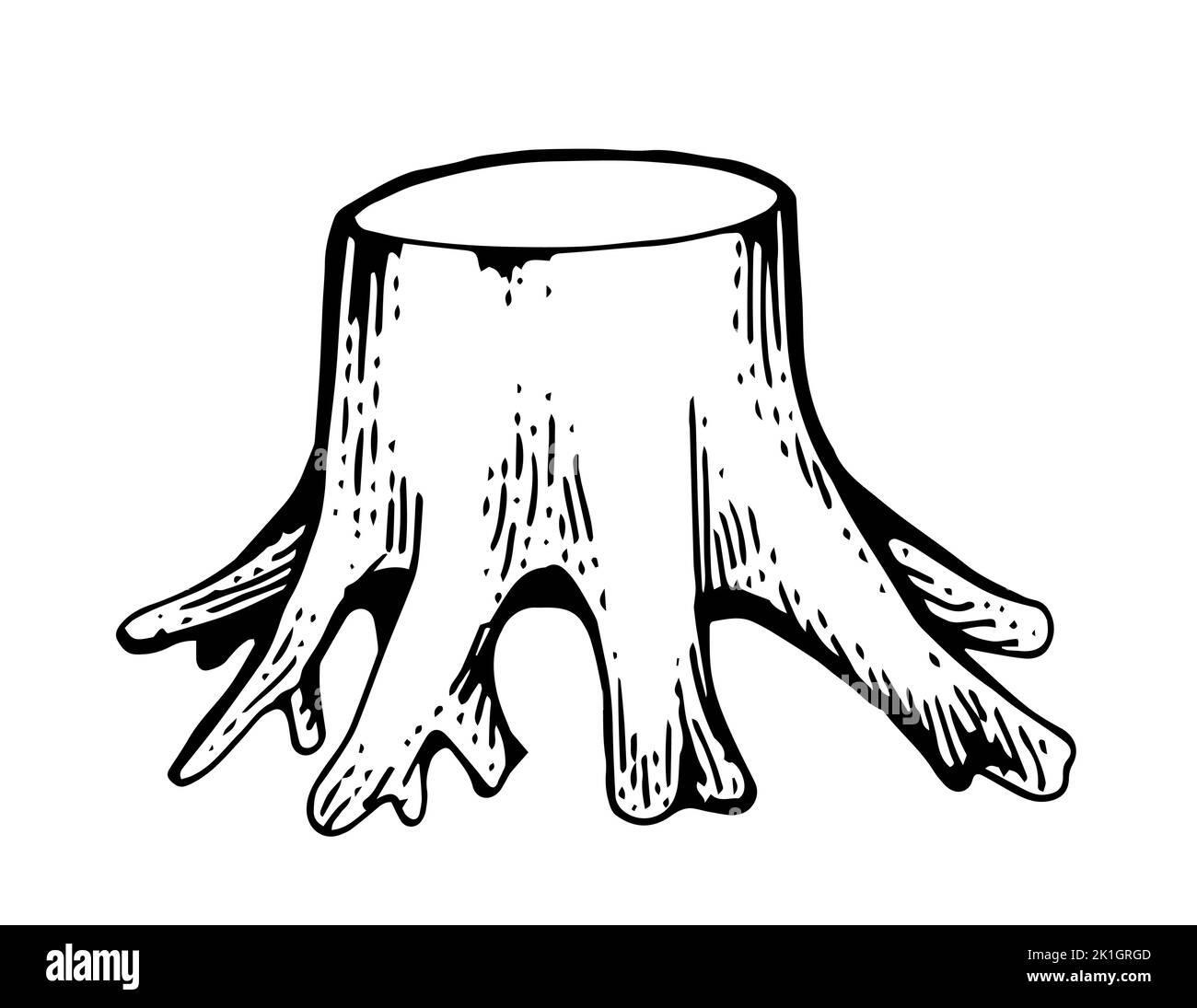 Souche en bois sans écorce. Arbre restant avec racines. Forêt ou jardin. Esquisse de contour dessinée à la main. Isolé sur fond blanc. Vecteur Illustration de Vecteur