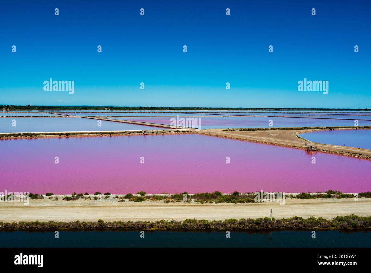 Champ de sel rose en Camargue france Banque D'Images