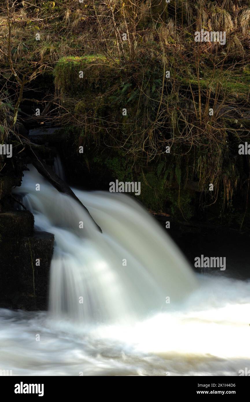 Weir dans l'Afon Mellte près de l'ancienne Gunpowder Works, Pontneddfechan. Banque D'Images