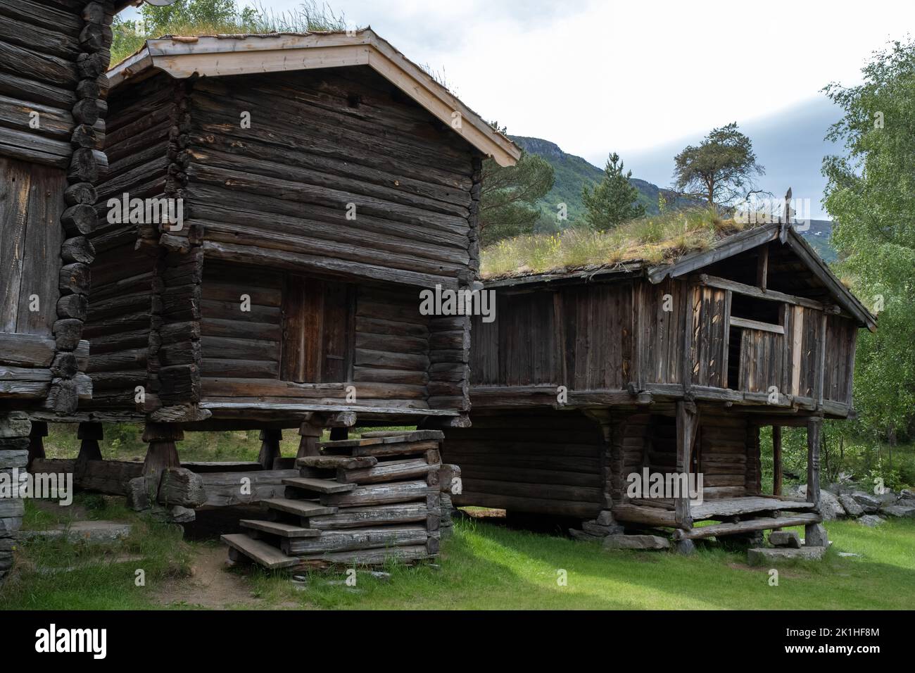 Paysages merveilleux en Norvège. Inlandet. Magnifique paysage de maisons avec toit en herbe. Architecture traditionnelle norvégienne. Montagnes et arbres dans bac Banque D'Images