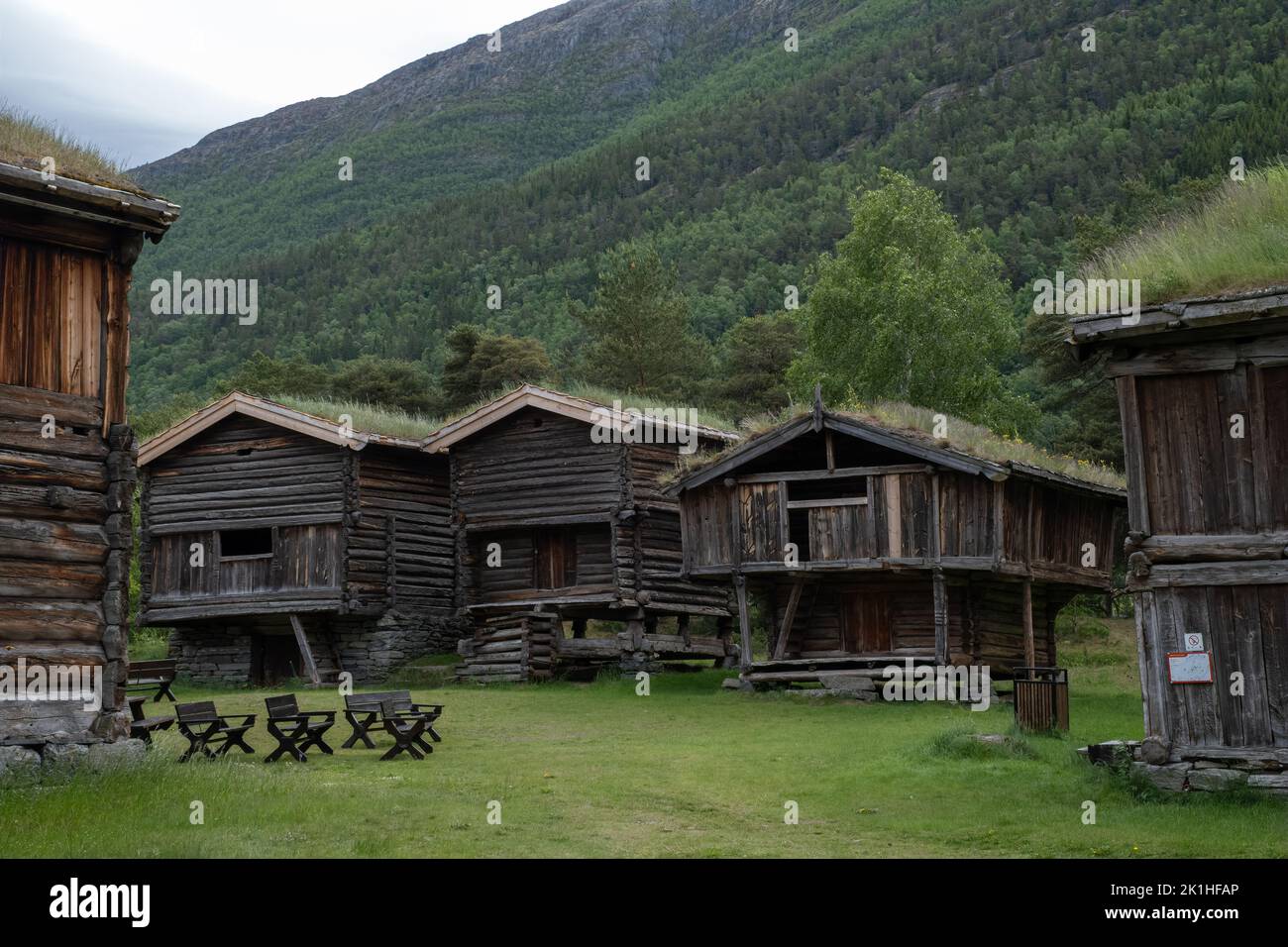 Paysages merveilleux en Norvège. Inlandet. Magnifique paysage de maisons avec toit en herbe. Architecture traditionnelle norvégienne. Montagnes et arbres dans bac Banque D'Images