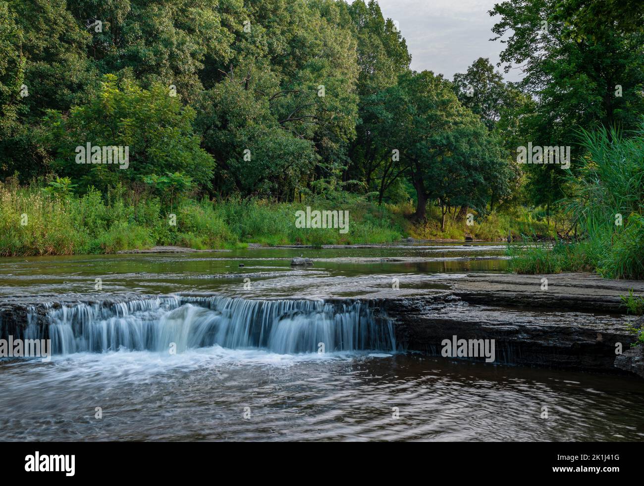 Une petite étape naturelle traverse Prairie Creek juste avant qu'elle ne coule dans la rivière Kankakee, réserve naturelle de la rivière des Plaines, comté de will, Illinois Banque D'Images