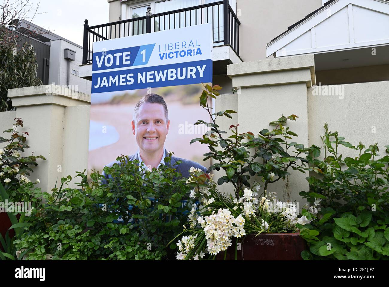 Grand panneau de campagne électorale mettant en vedette le politicien libéral d'État James Newbury, le député de Brighton, presque caché par des plantes dans un jardin devant Banque D'Images