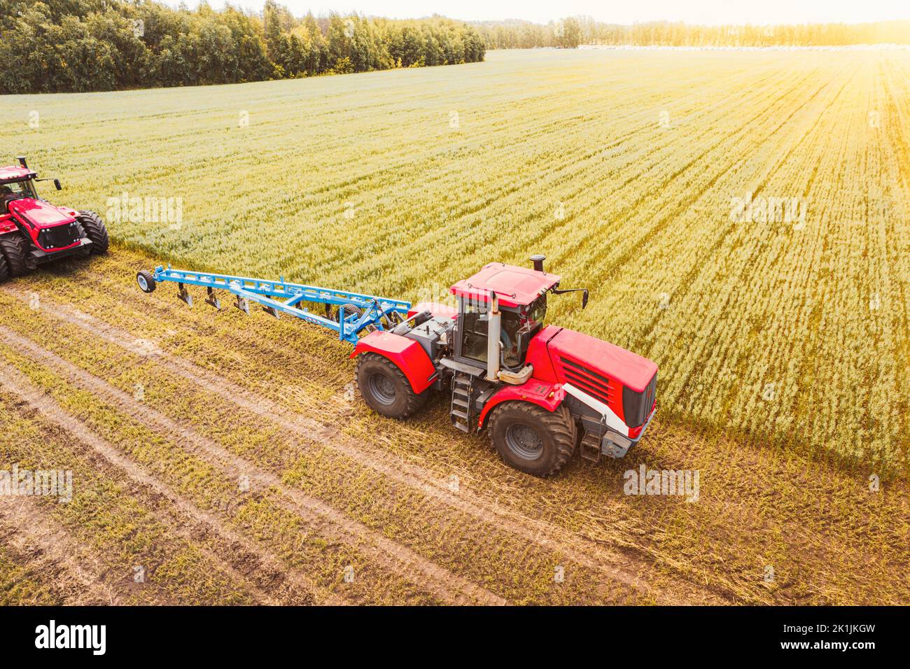 Vue aérienne de la moissonneuse-batteuse travaillant sur le grand champ de blé. Fabrication de foin et récolte au début de l'automne sur le terrain. Le tracteur tond l'herbe sèche. Préparation Banque D'Images