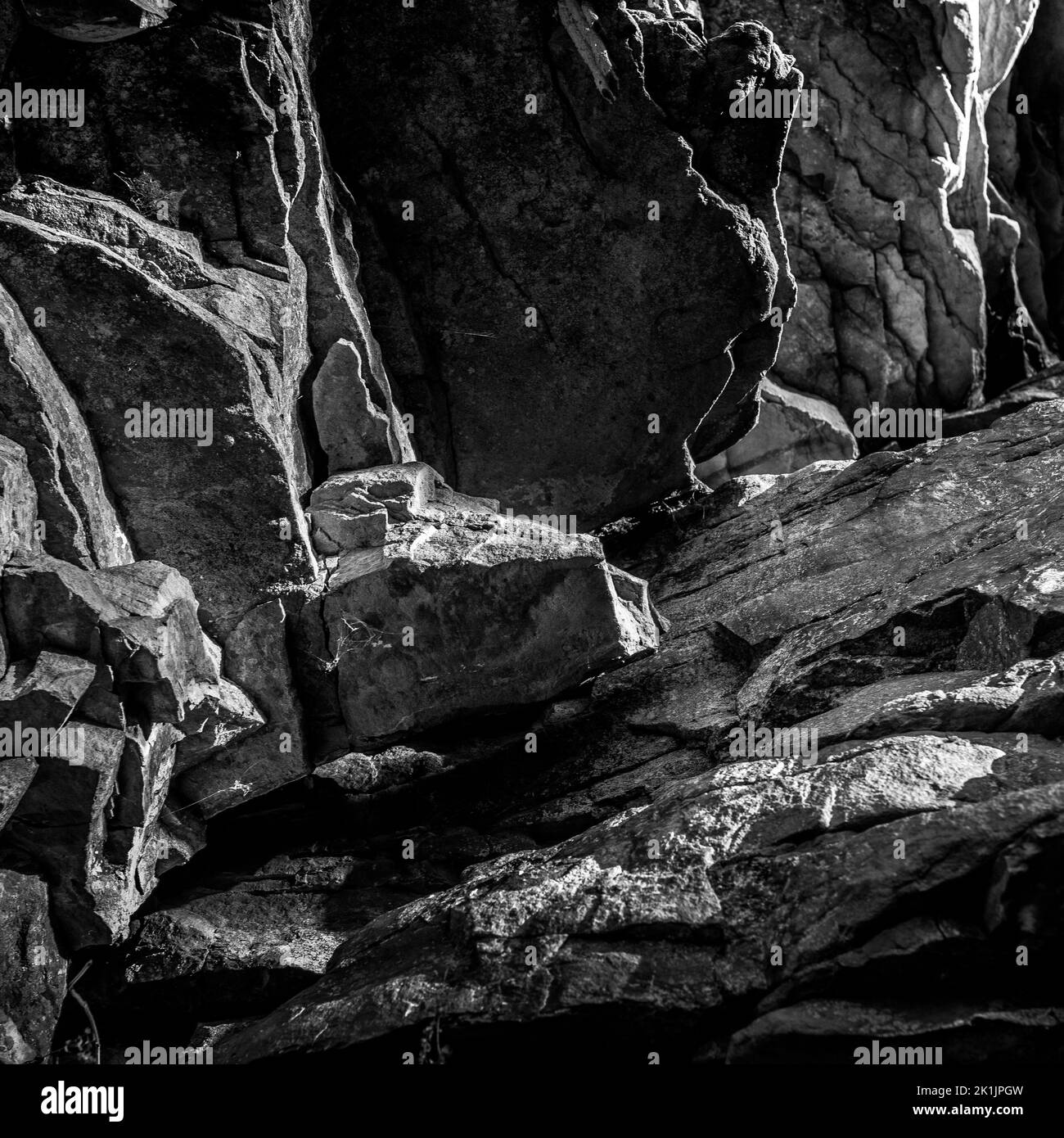 Photo en niveaux de gris d'un mur de roche à Cloudland Canyon, Géorgie, États-Unis Banque D'Images