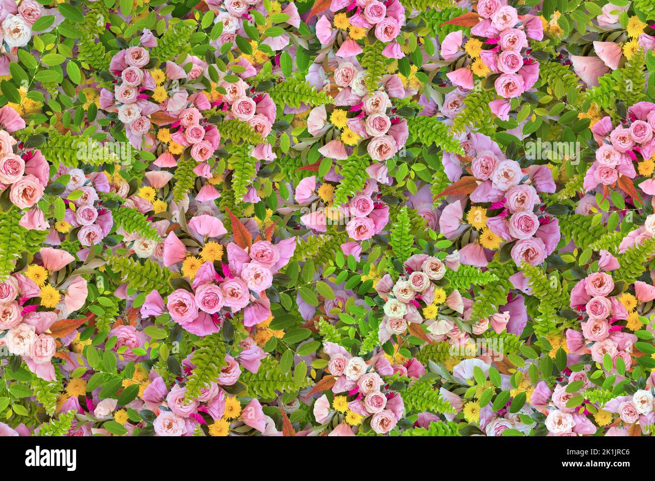 Une vue de dessus de couronne colorée de thrones dans un champ par une journée ensoleillée pour les fonds d'écran Banque D'Images