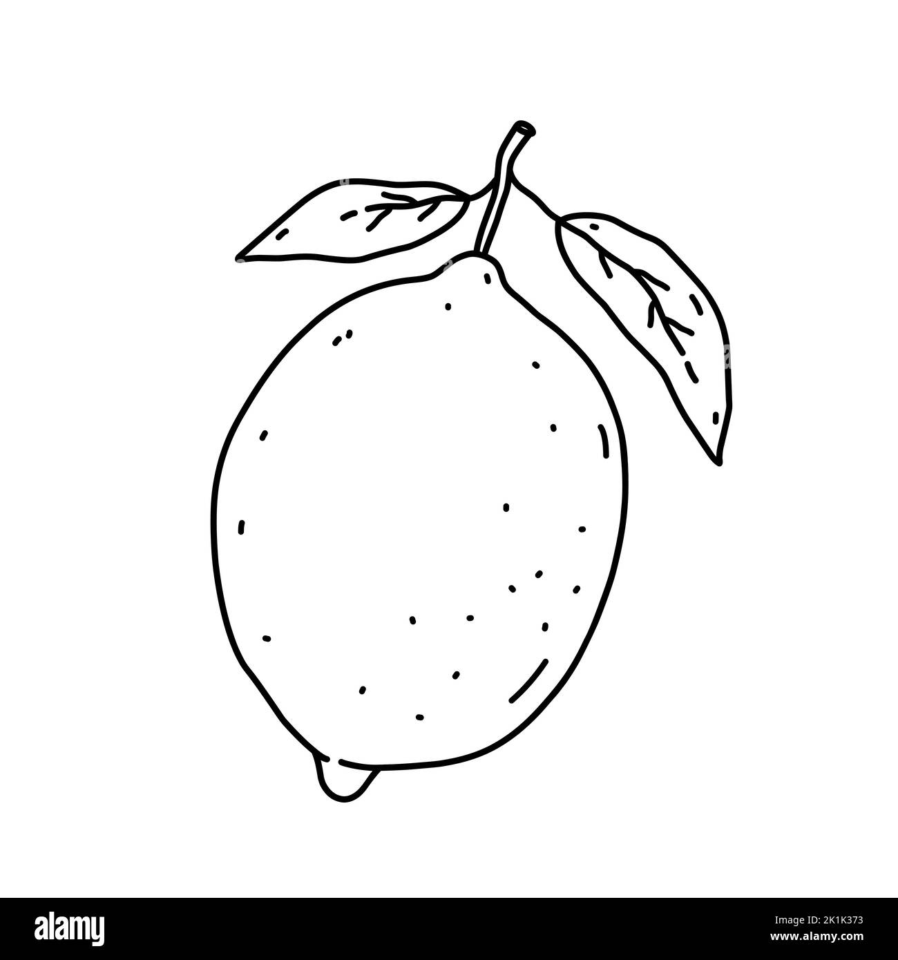 Citron avec feuilles isolées sur fond blanc. Agrumes. Illustration vectorielle dessinée à la main, style doodle. Parfait pour les cartes, le logo, les décorations, les recettes, les différents modèles. Illustration de Vecteur