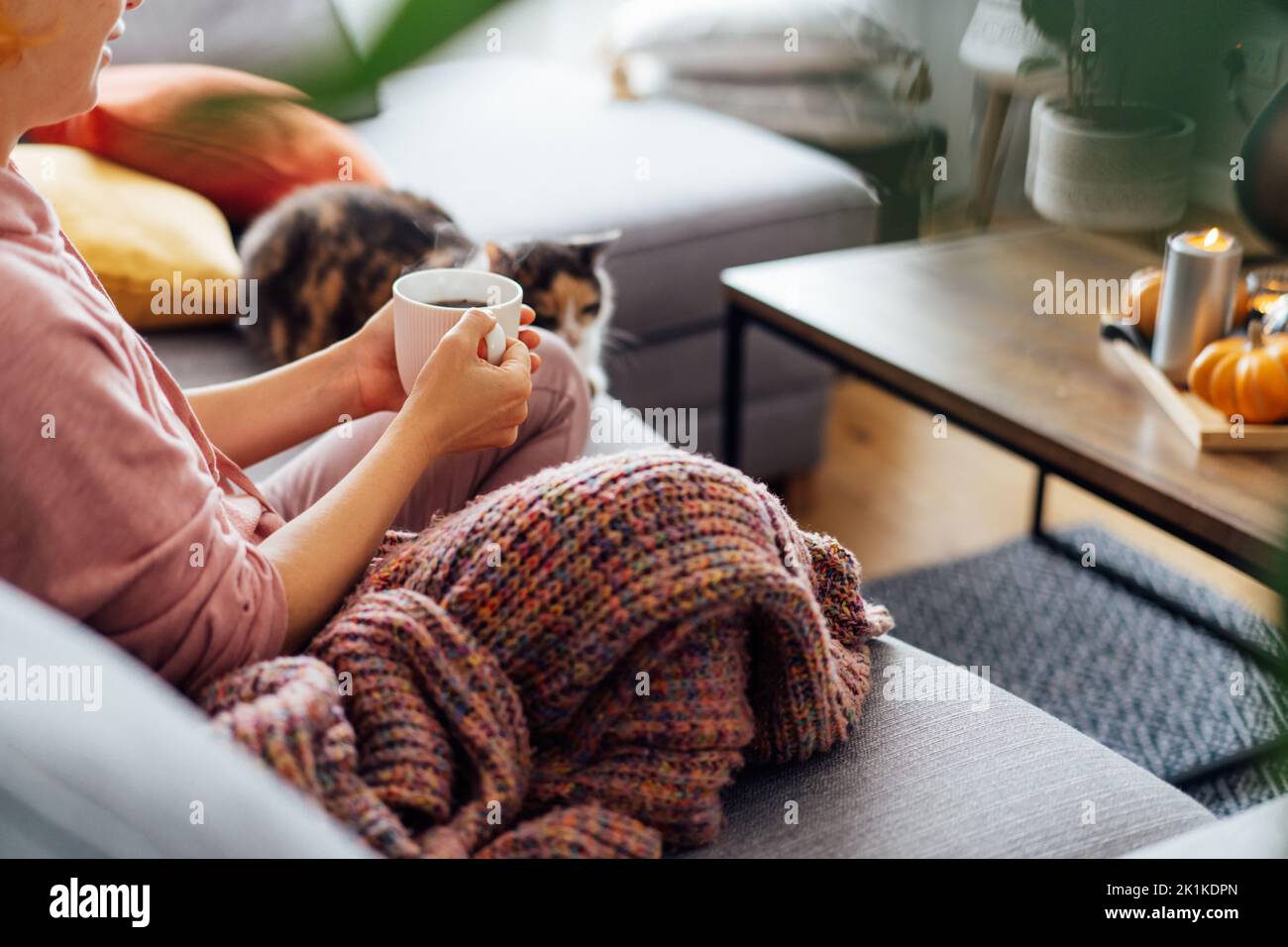Une femme en gros plan tient une tasse de thé ou de café, regardant un film, la télévision avec chat multicolore sur le canapé à la maison, décoré pour les vacances d'automne. Confortable Banque D'Images Une femme en gros plan tient une tasse de thé ou de café, regardant un film, la télévision avec chat multicolore sur le canapé à la maison, décoré pour les vacances d'automne. Confortable Banque D'Images