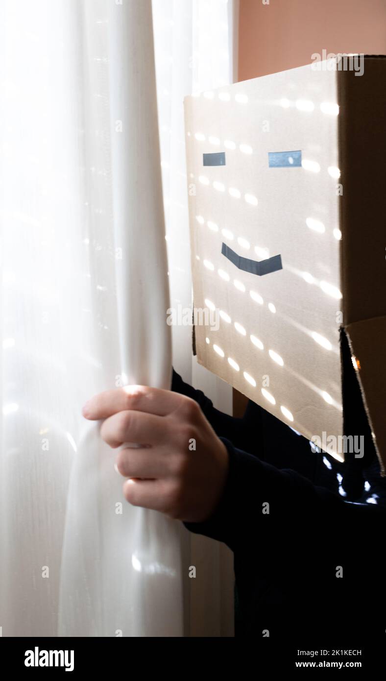 Homme souriant avec une boîte en carton sur sa tête en regardant par la fenêtre Banque D'Images
