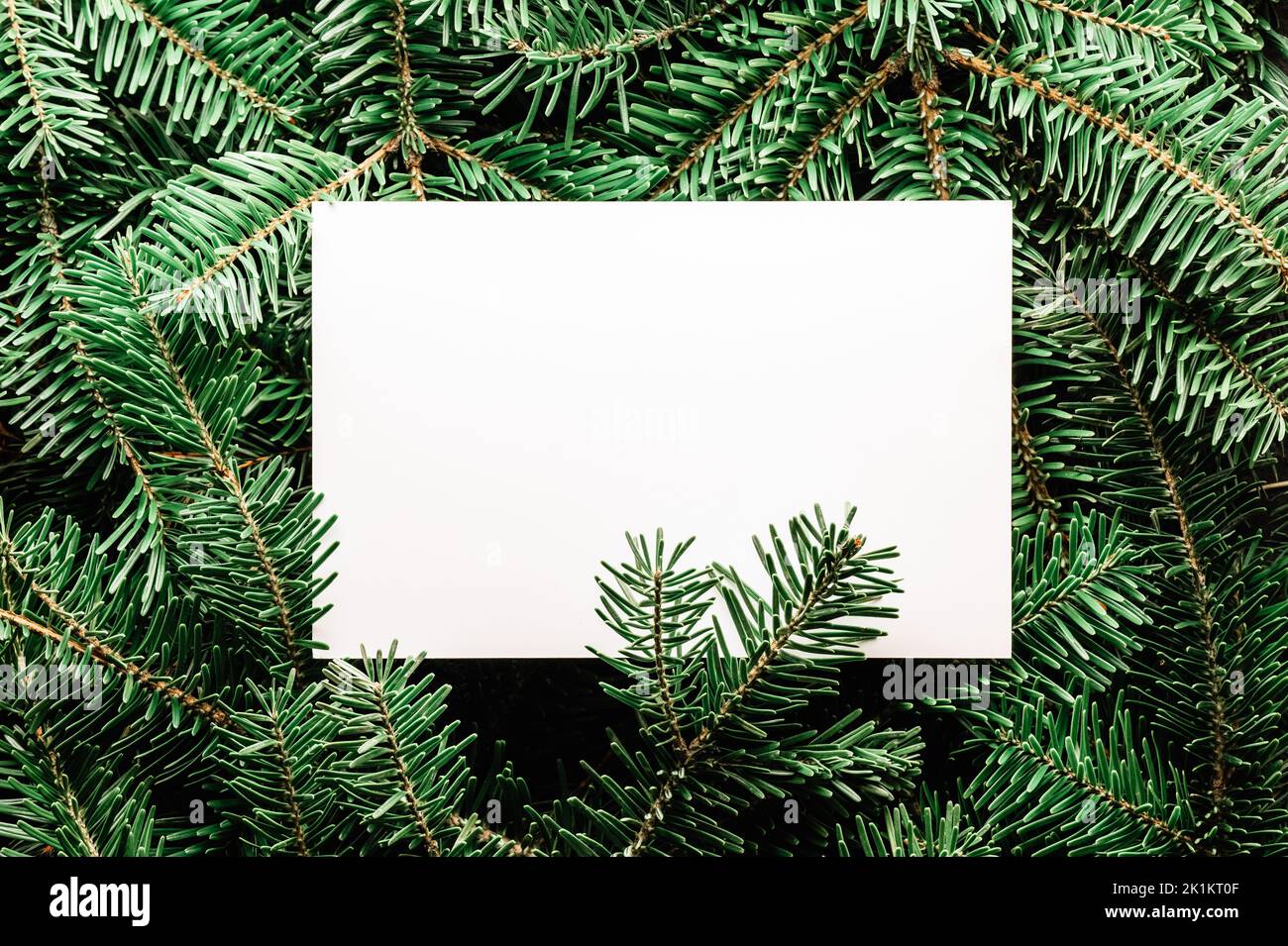 Arrière-plan créatif des fêtes de Noël avec des branches de sapin et des boules de noël rouges. Flat lay, vue de dessus. Joyeux Noël Banque D'Images