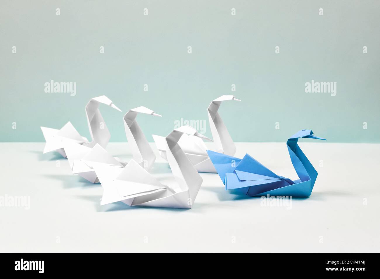 Un cygne bleu mène un troupeau de cygnes blancs. Le papier se déforme sur un fond bleu. Origami. Concept de leadership. Banque D'Images