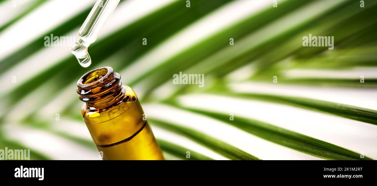 goutte d'huile essentielle tombant du compte-gouttes dans la bouteille. bio cosmétiques naturels, médecine alternative. bannière avec espace de copie Banque D'Images