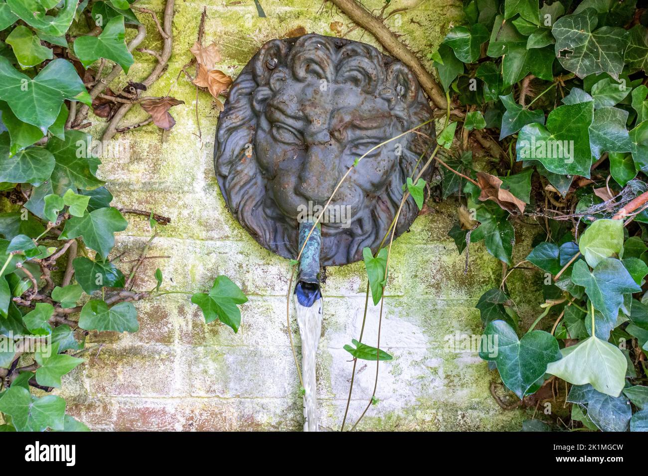 Fontaine Décorative Grenouille Avec Couronne - En Métal, 22 Cm, Avec Pompe, Pour Bassin Ou Jardin