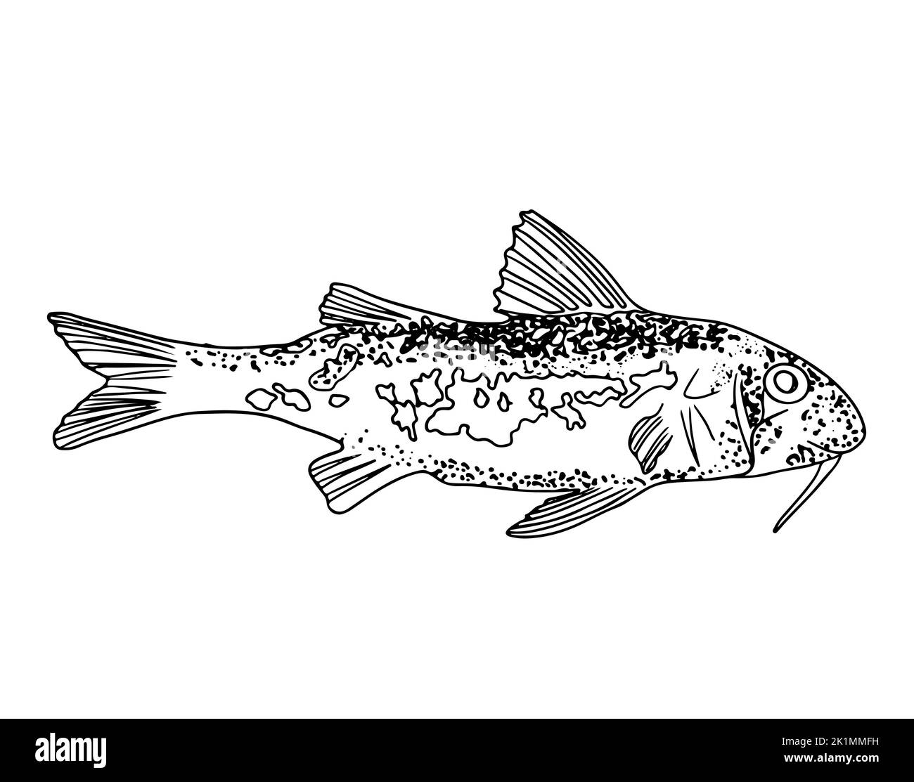 Poisson sur la ligne isolée. Illustration de Vecteur