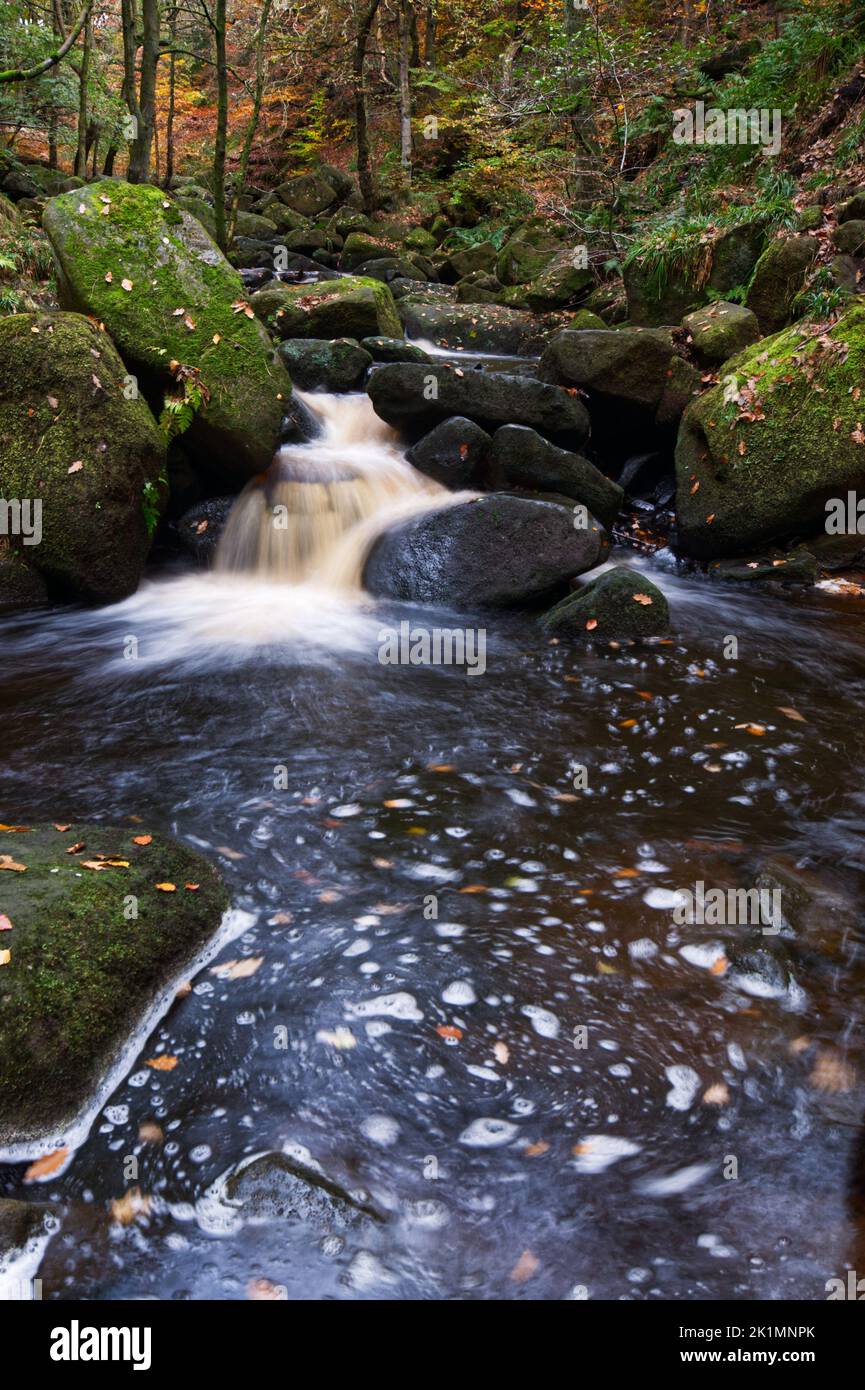 Ruisseau Burbage, automne dans le parc national de Peak District Banque D'Images