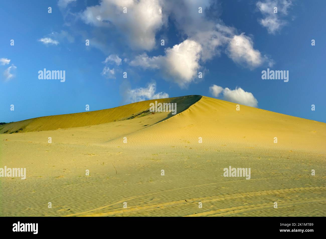Nuages au-dessus de la dune de sable dans le désert de Thar Banque D'Images