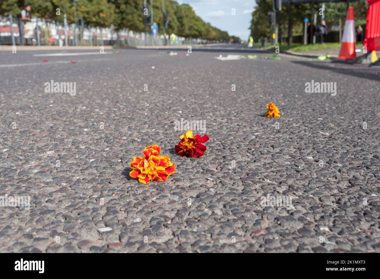 Fleurs laissées sur la route jetée au cœur de passage de la reine Elizabeth II, Londres, Royaume-Uni, sur son chemin vers son enterrement à la chapelle Saint-Georges, Château de Windosor, Royaume-Uni. Banque D'Images