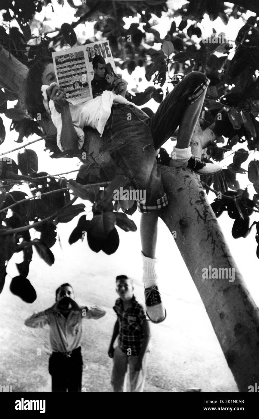 Jeune fille lisant le magazine Personal Love dans un arbre à partir d'un essai de photo sur l'enfance des années 1950. Banque D'Images
